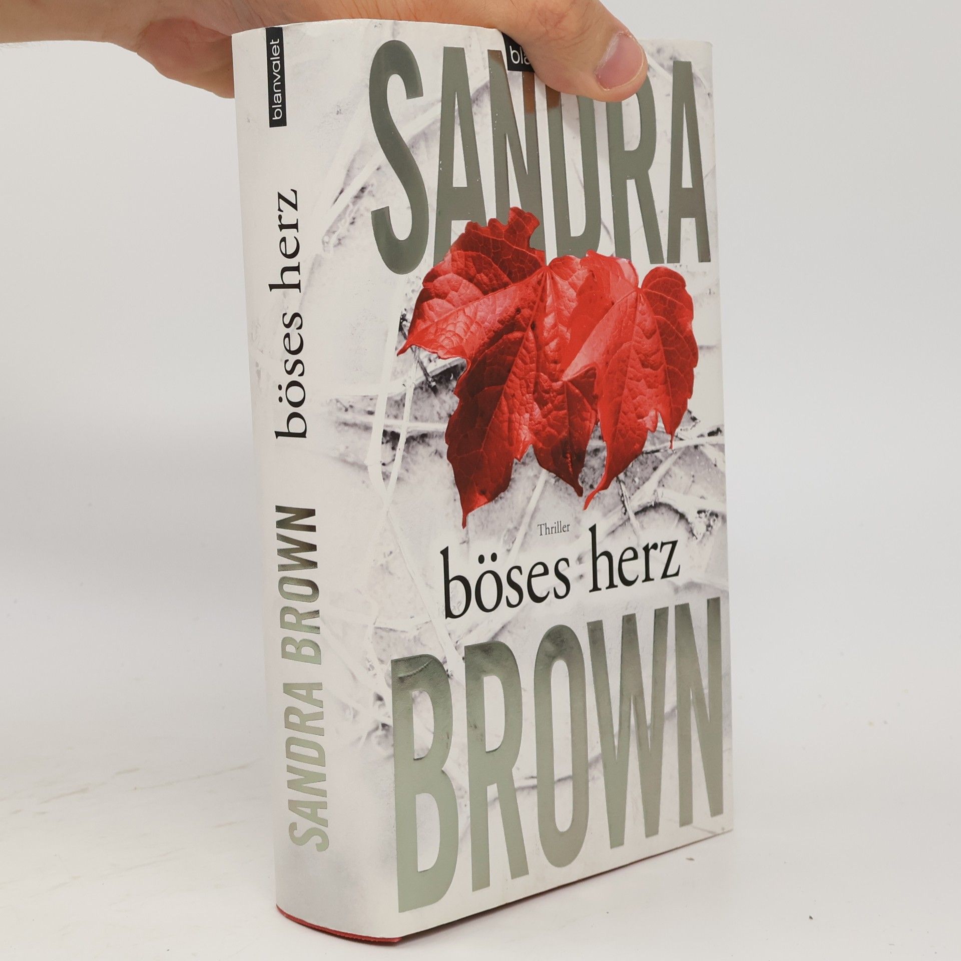 Sandra Brown Böses Herz