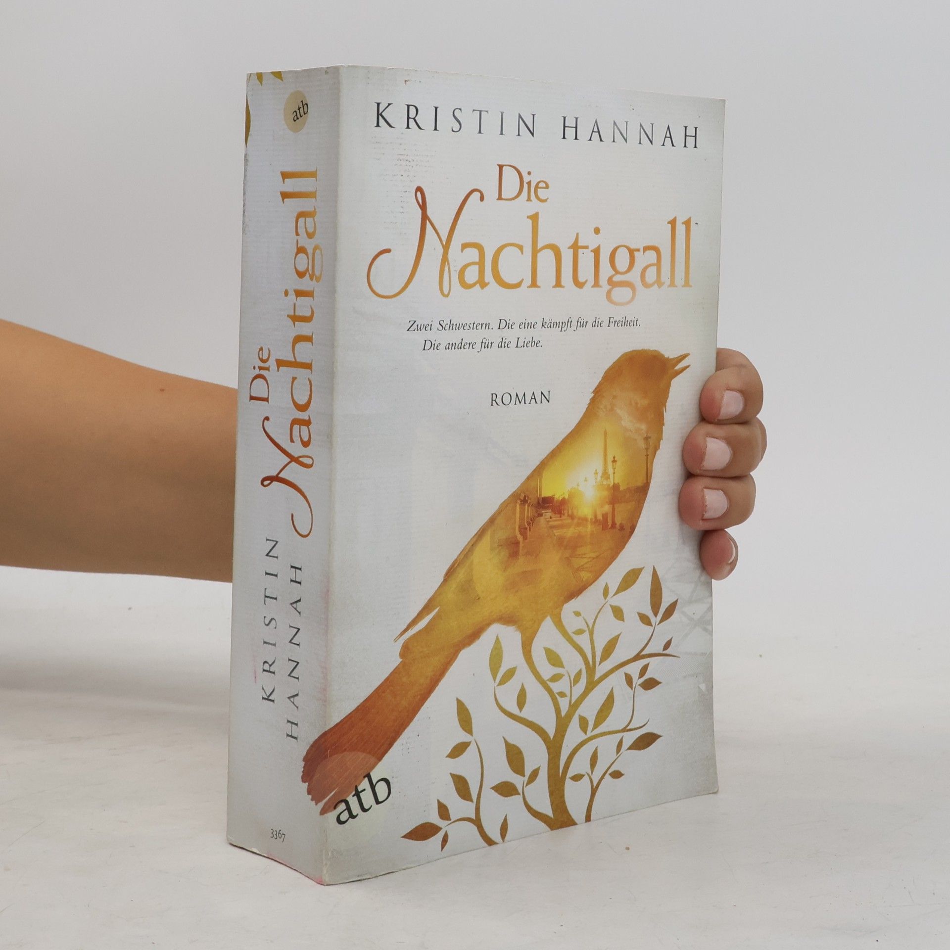 Kristin Hannah Die Nachtigall