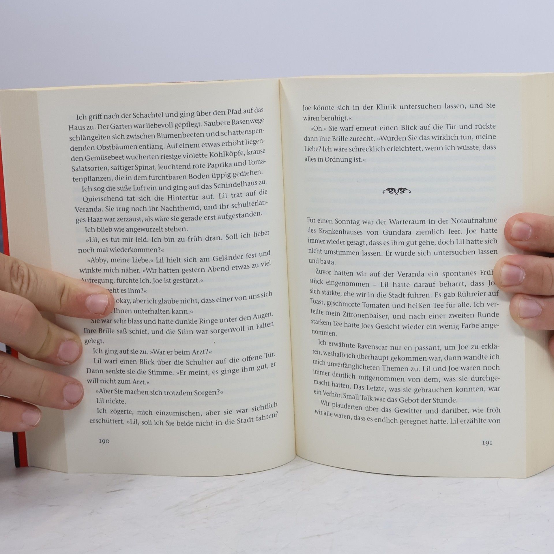 Roberto de Hollanda Das Dornental : roman