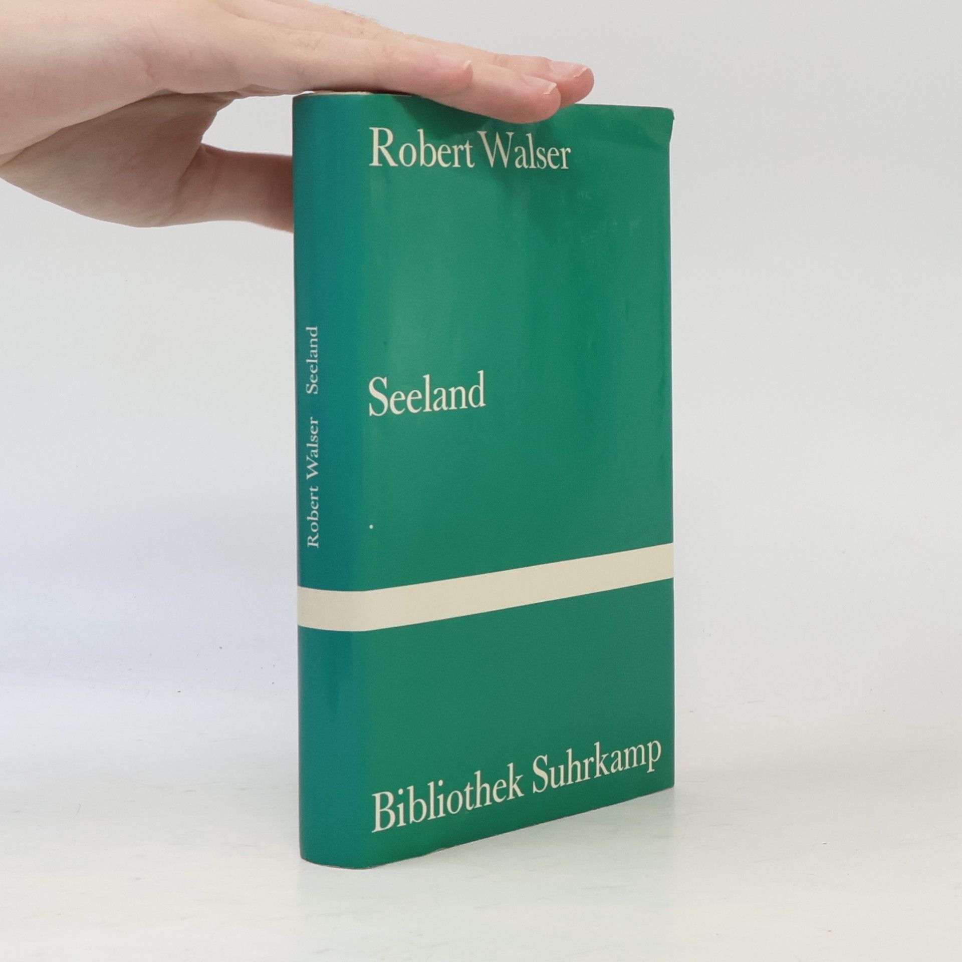 Robert Walser Seeland