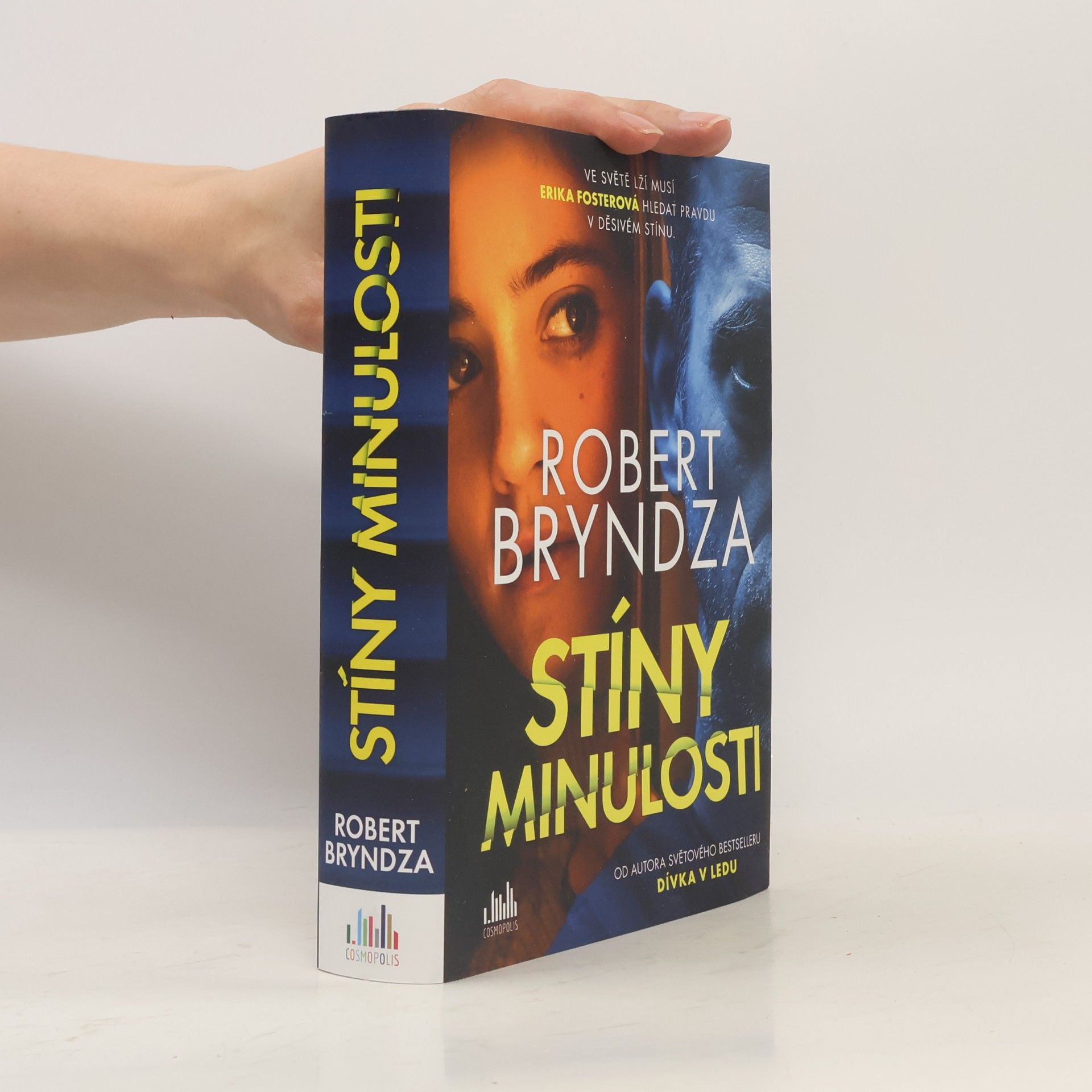 Robert Bryndza Stíny minulosti