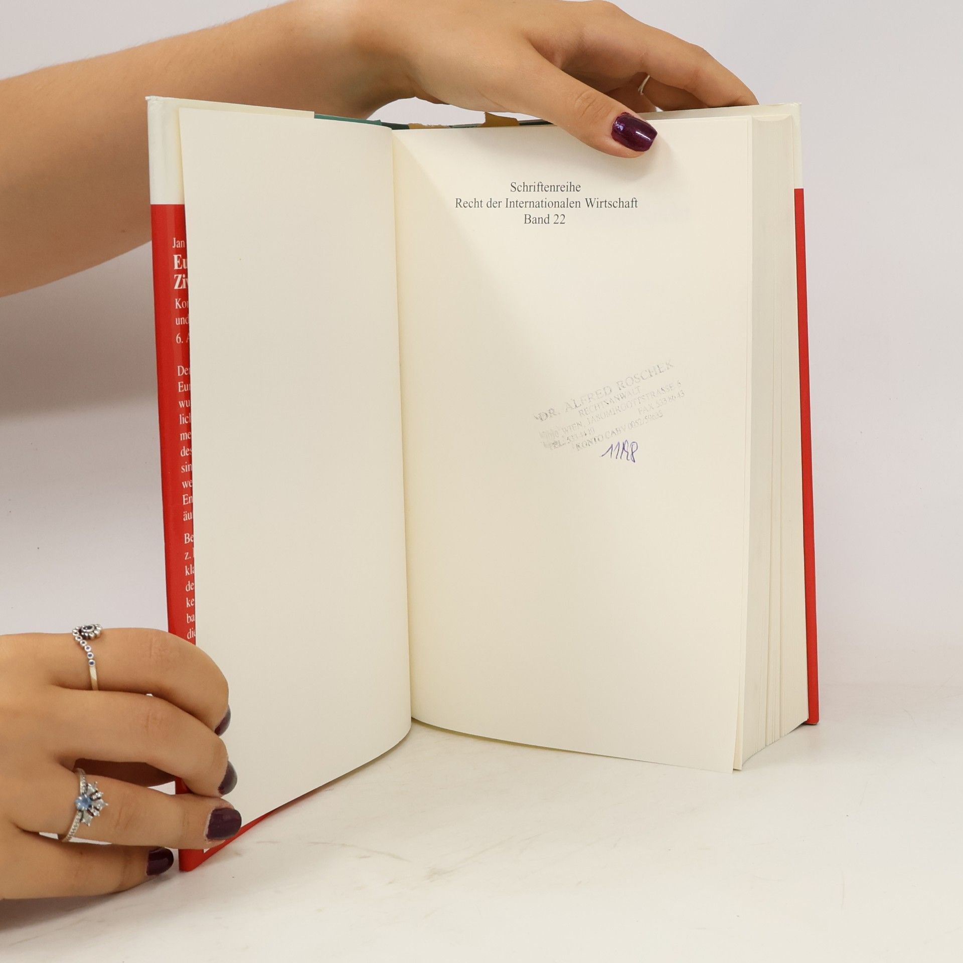 Jan Kropholler Schriftenreihe Recht der Internationalen Wirtschaft: Europäisches Zivilprozeßrecht - 6. Auflage