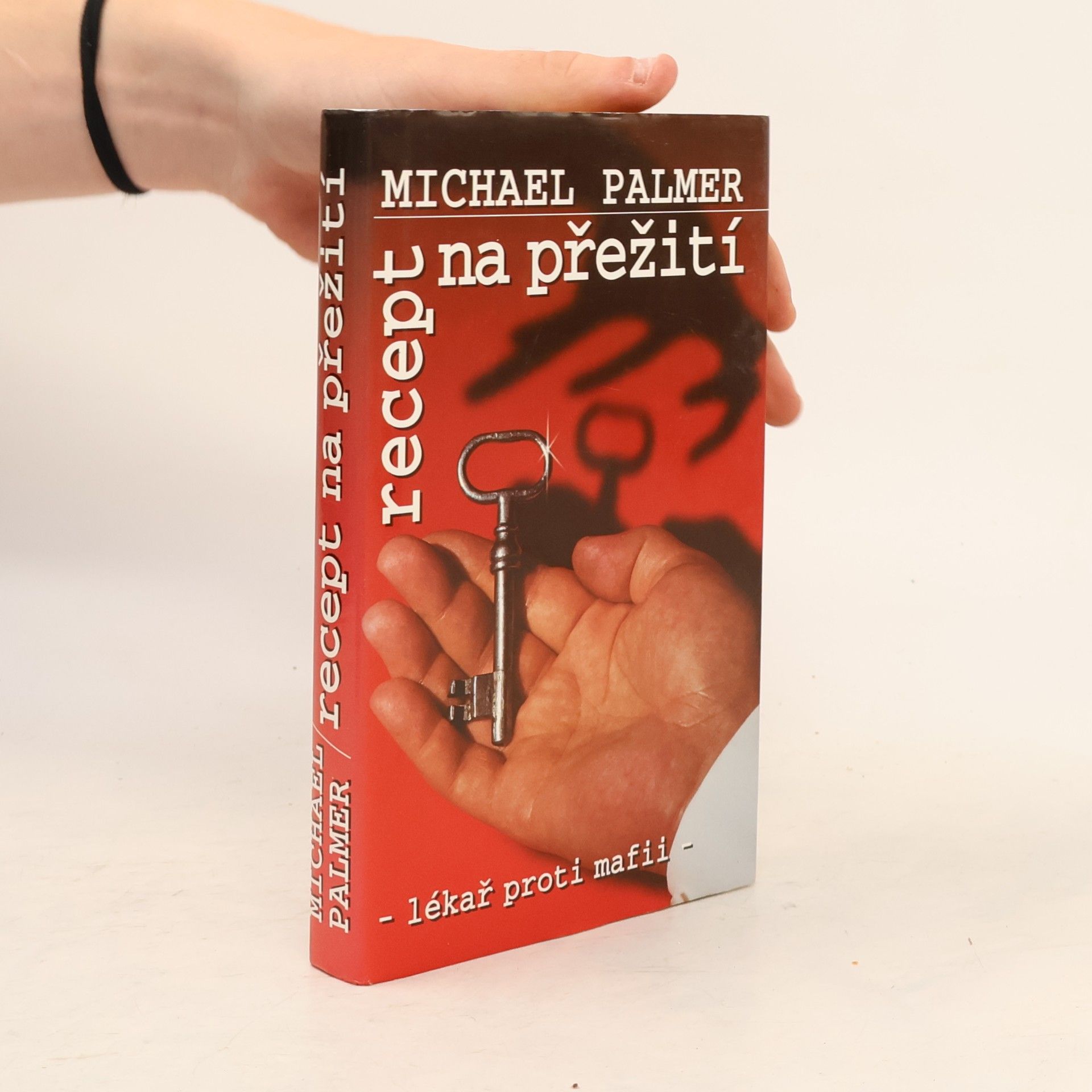 Michael Palmer Recept na přežití