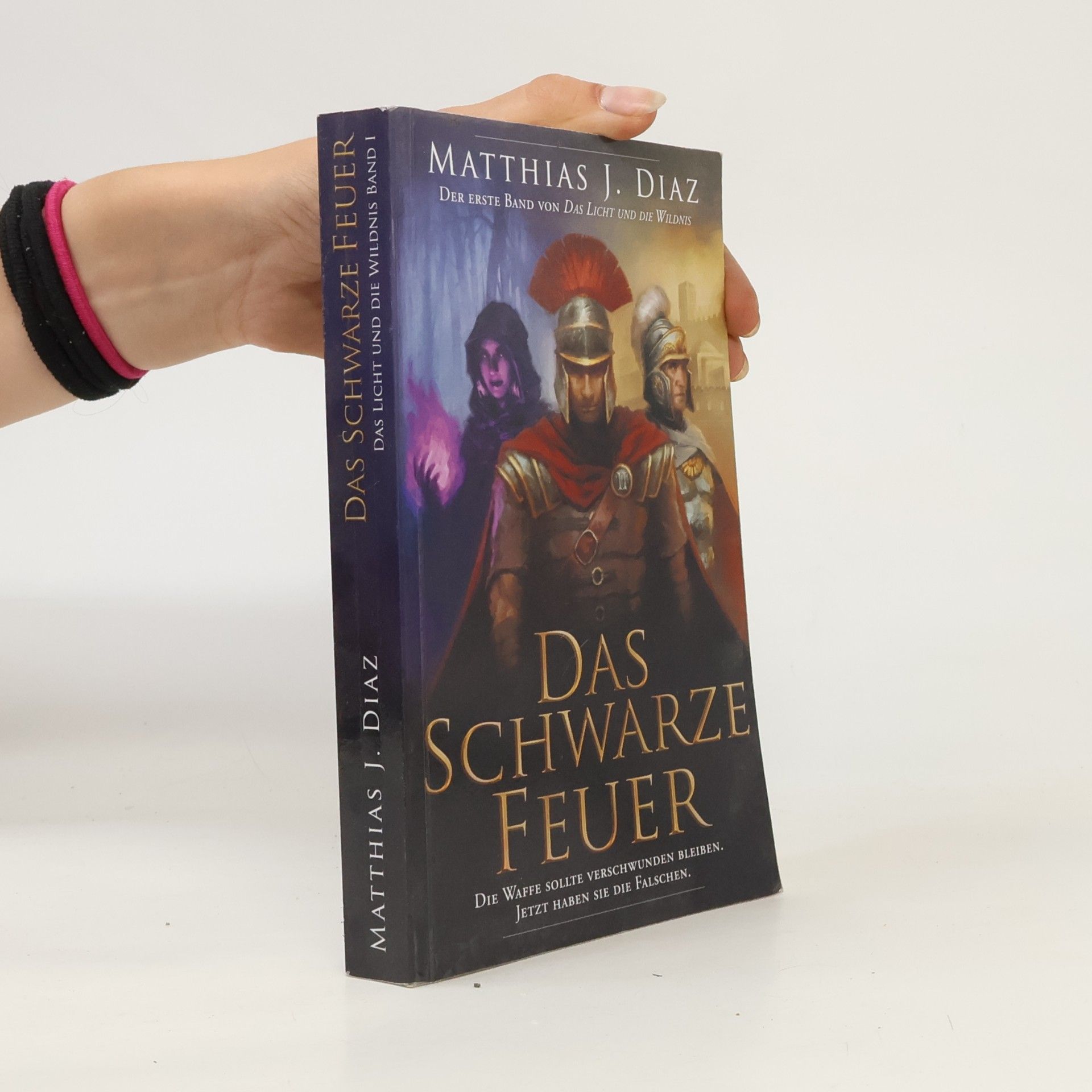 Matthias J. Diaz Das Schwarze Feuer