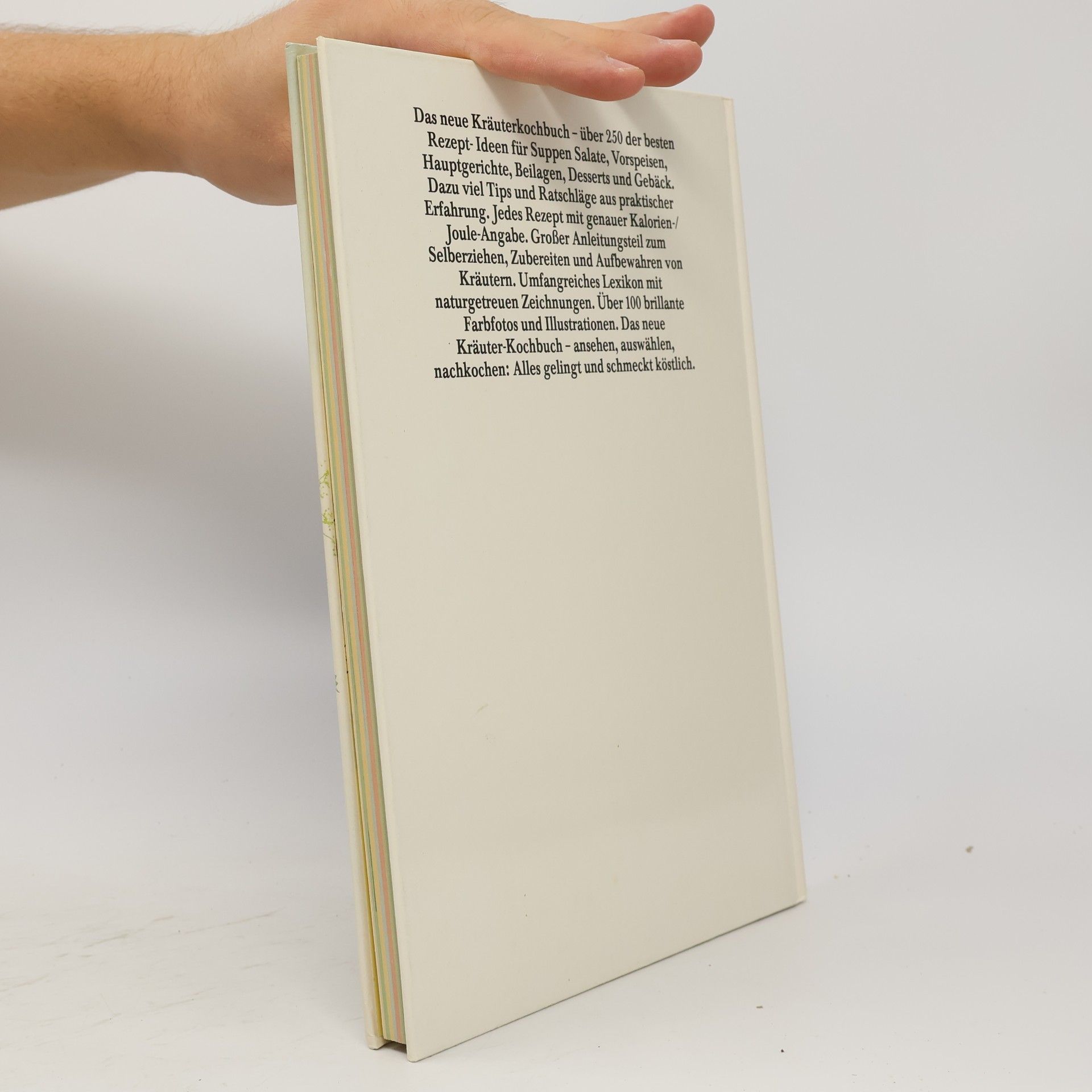 Autorenkollektiv Das neue Kräuter-Kochbuch