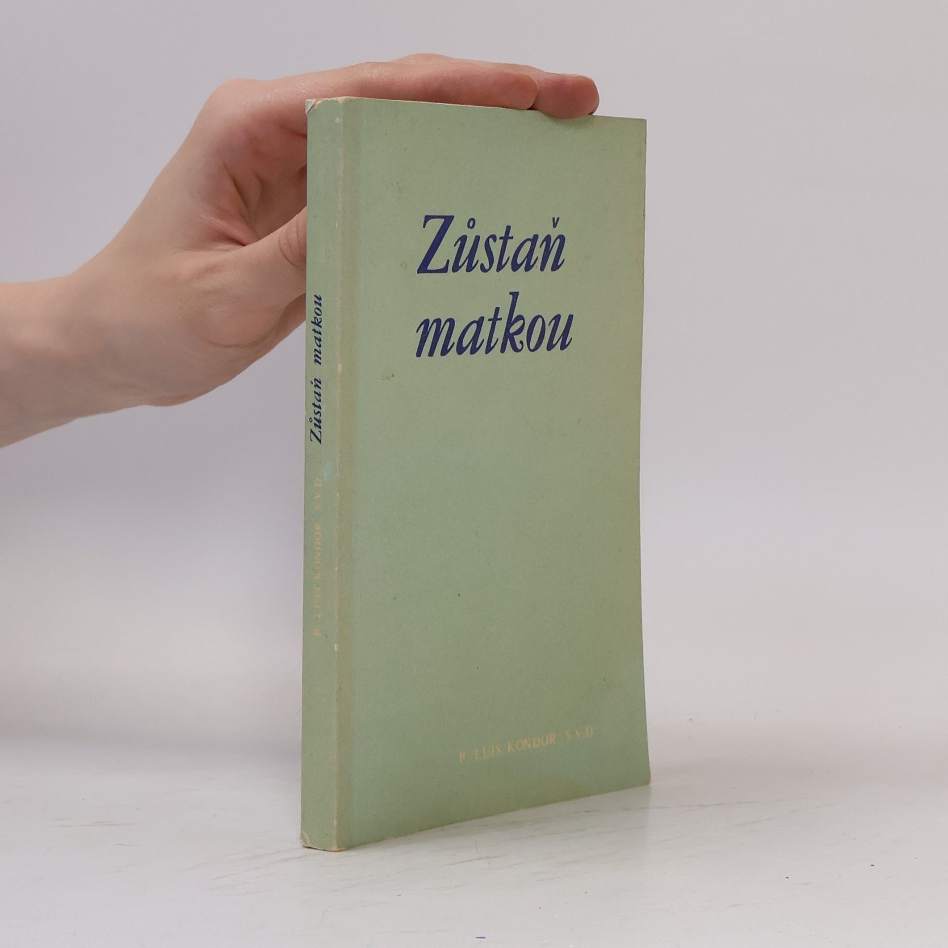 Luis Kondor Zůstaň matkou