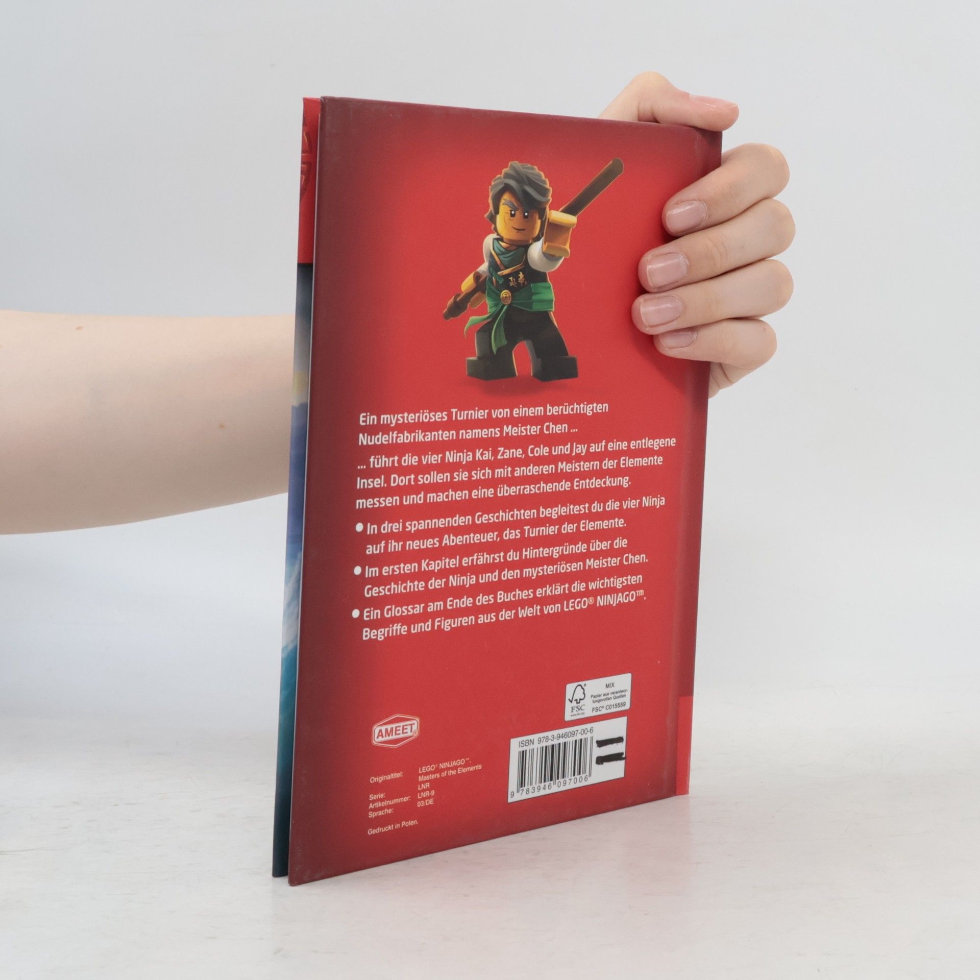 Greg Farshtey LEGO Ninjago Masters of Spinjitzu - Meister der Elemente