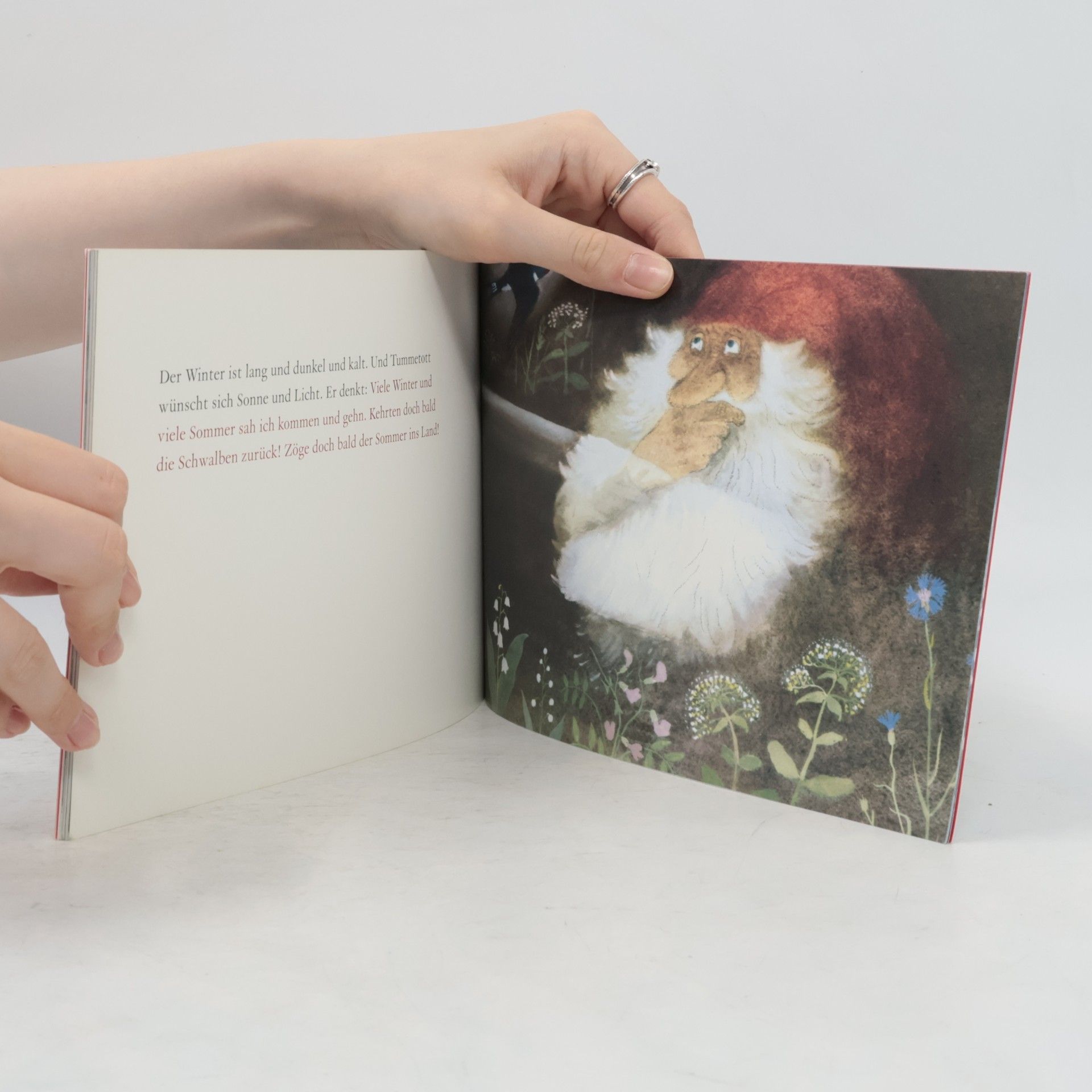 Astrid Lindgren Tomte Tummetott