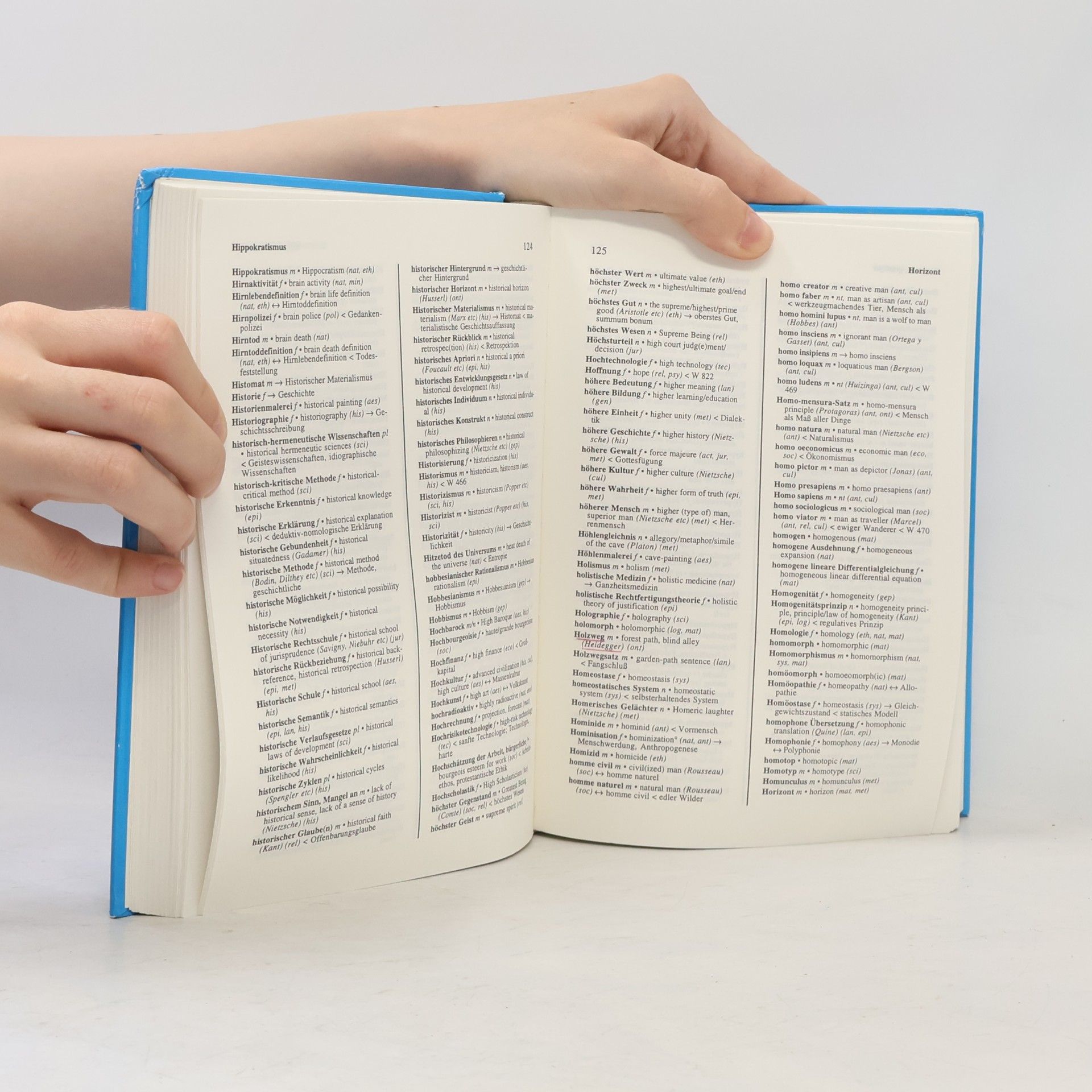 Elmar Waibl Dictionary of Philosophical Terms German-English. Wörterbuch philosophischer Fachbegriffe Deutsch-Englisch