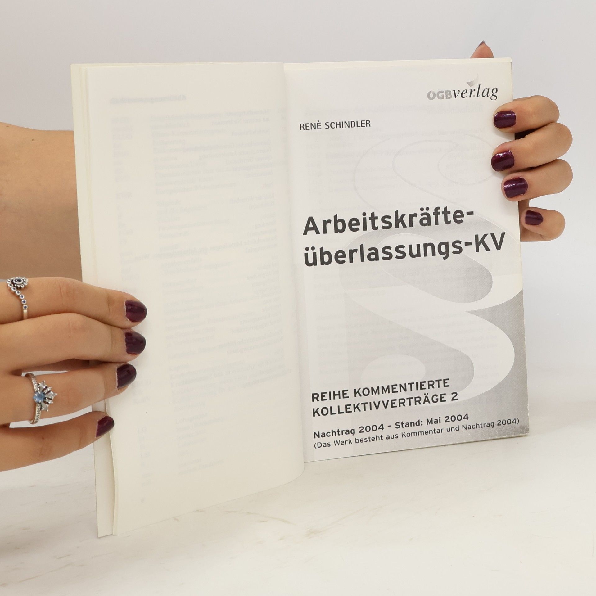 Rene Schindler Arbeitskräfteüberlassungs-KollV