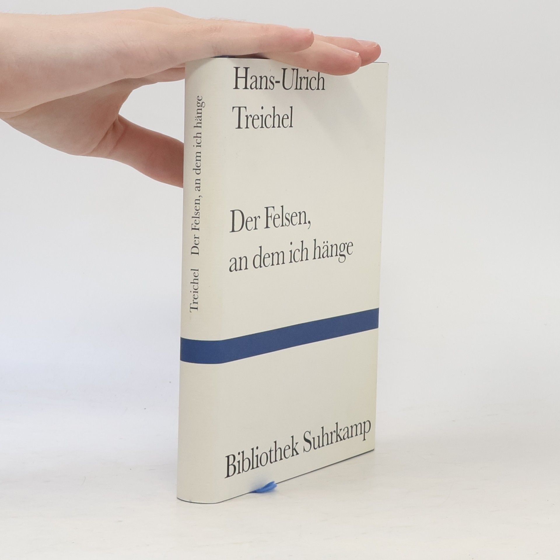 Hans-Ulrich Treichel Der Felsen, an dem ich hänge. Essays und andere Texte