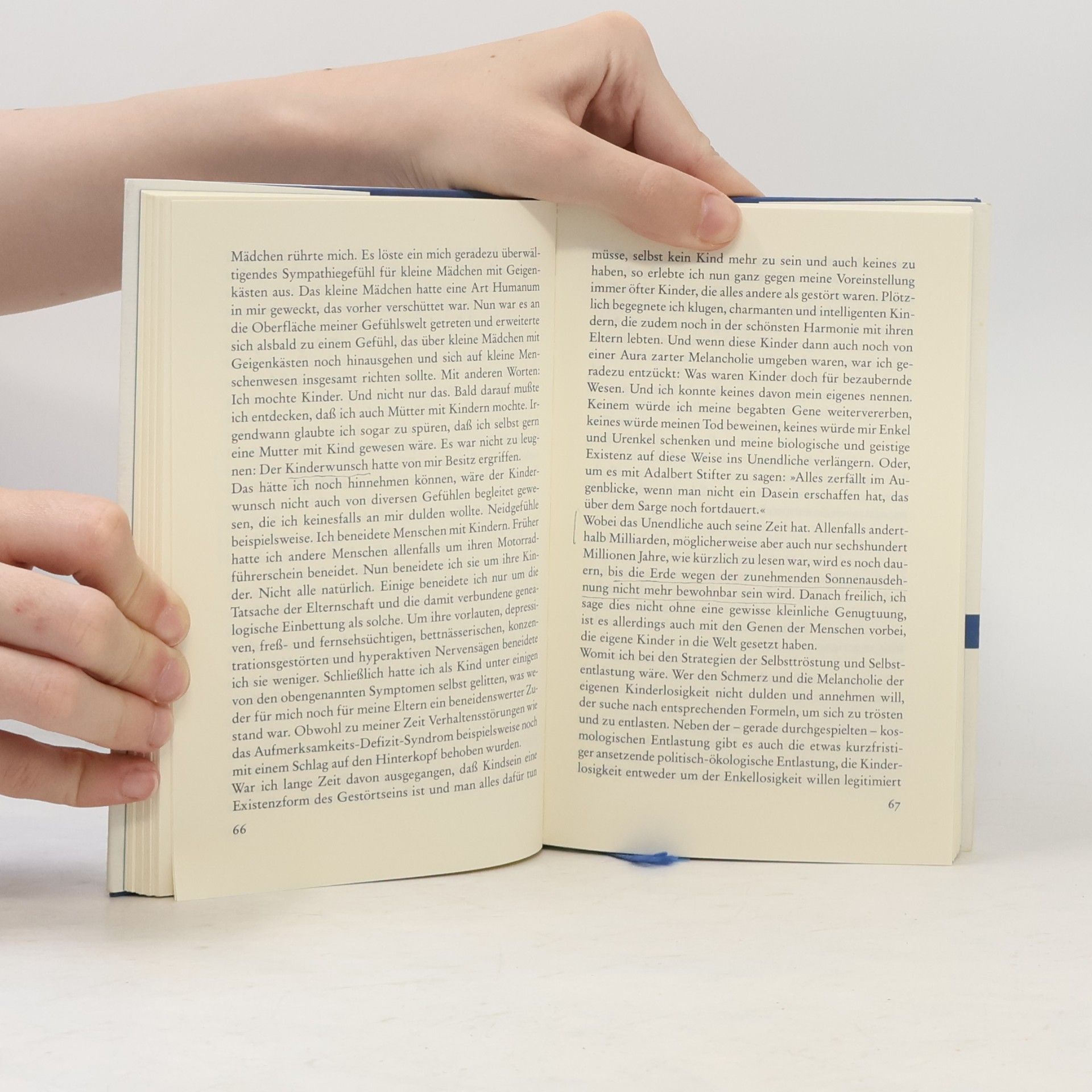 Hans-Ulrich Treichel Der Felsen, an dem ich hänge. Essays und andere Texte