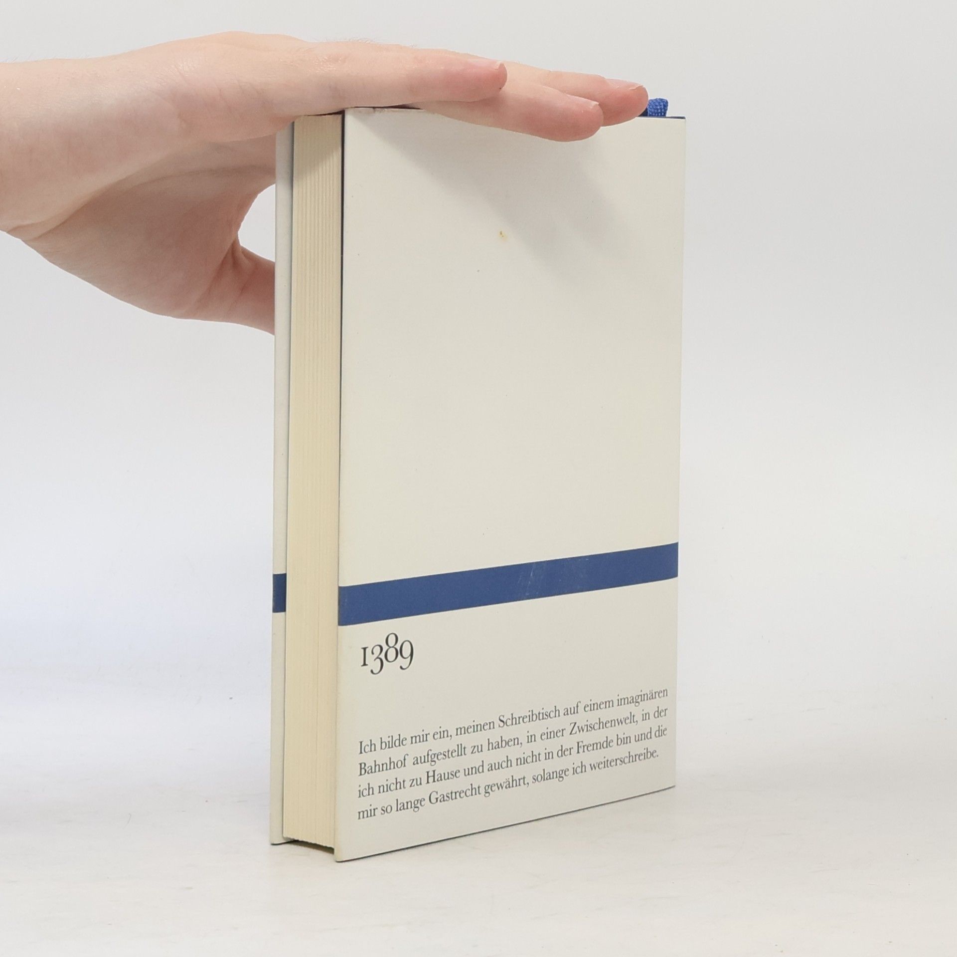 Hans-Ulrich Treichel Der Felsen, an dem ich hänge. Essays und andere Texte