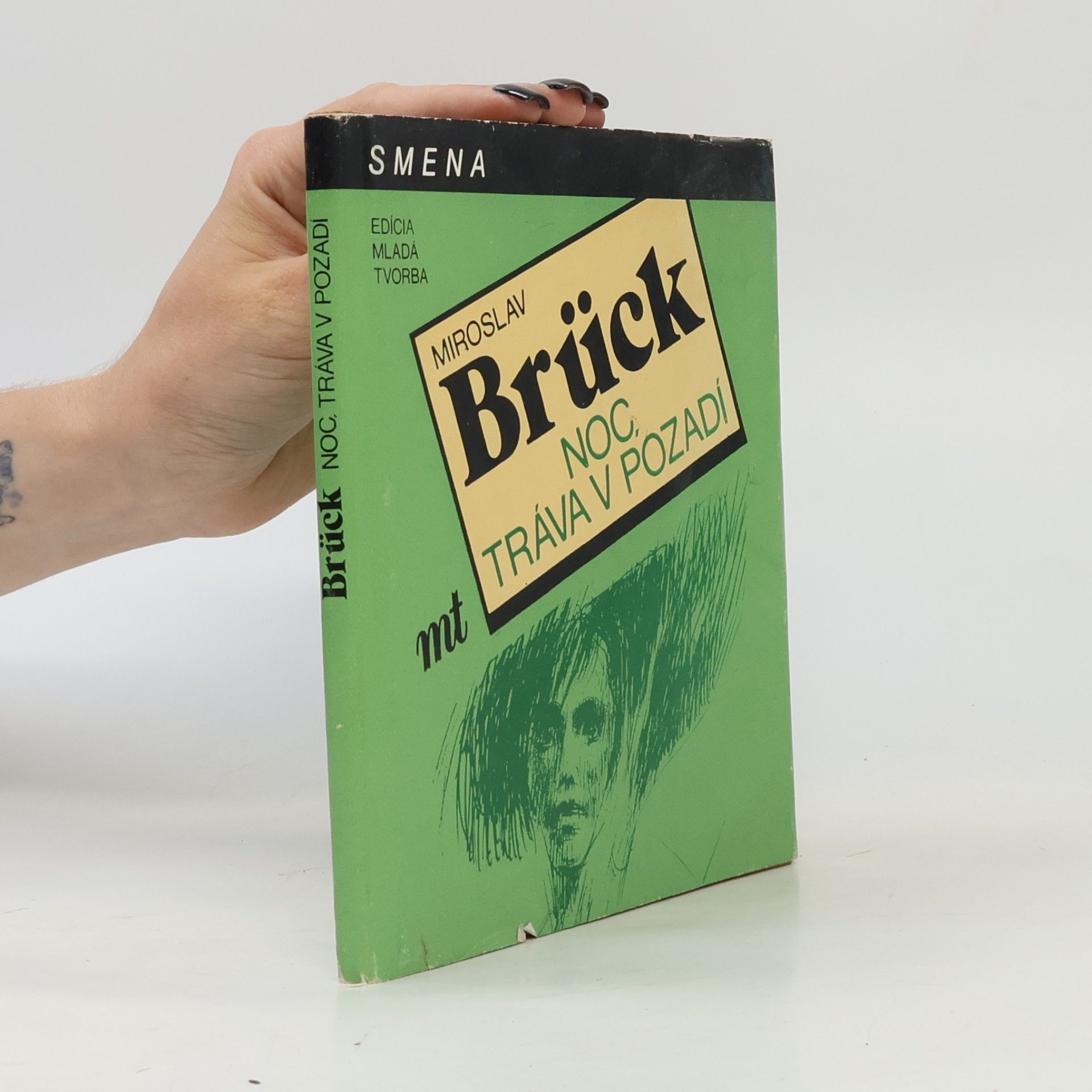 Miroslav Brück Noc, tráva v pozadí