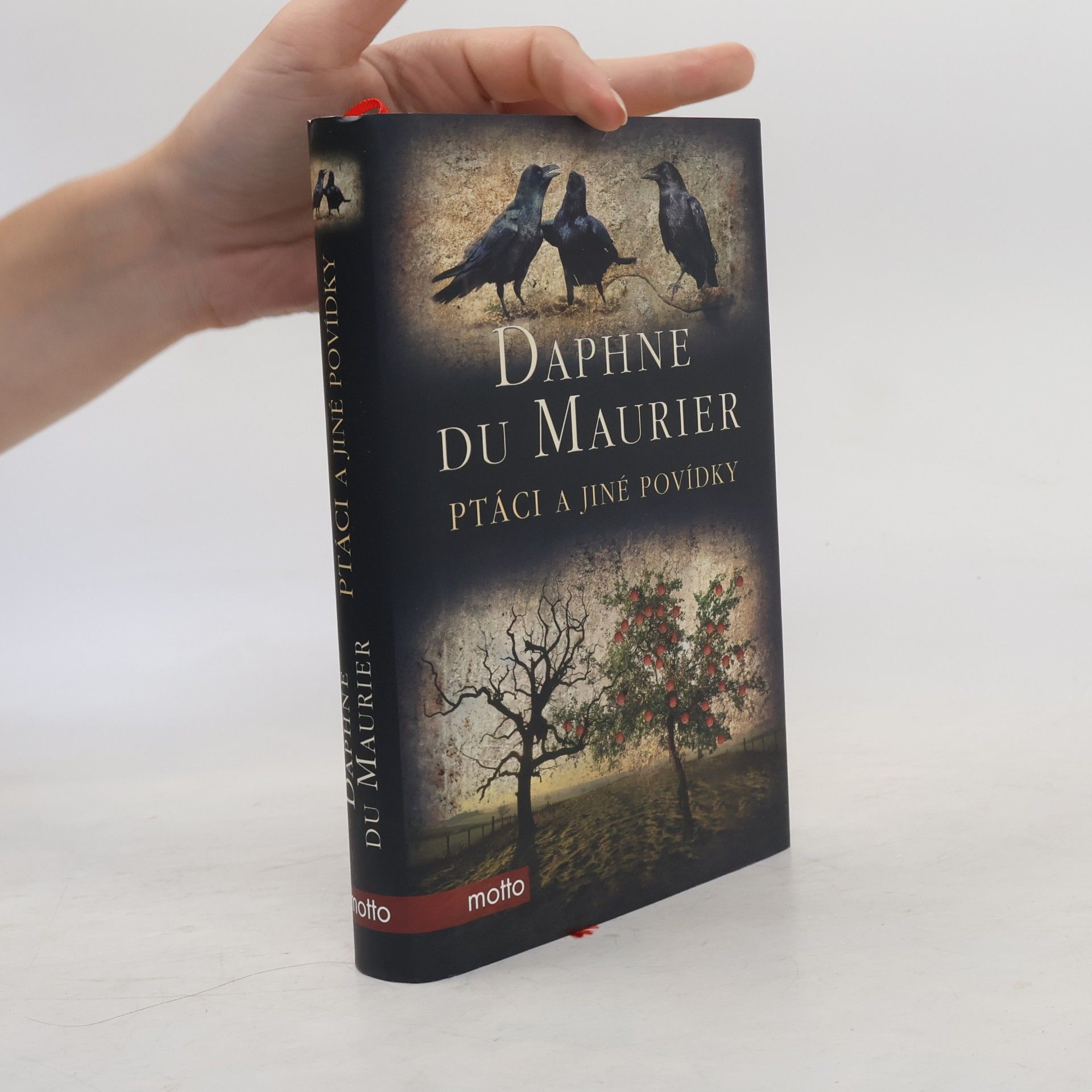 Daphne du Maurier Ptáci a jiné povídky