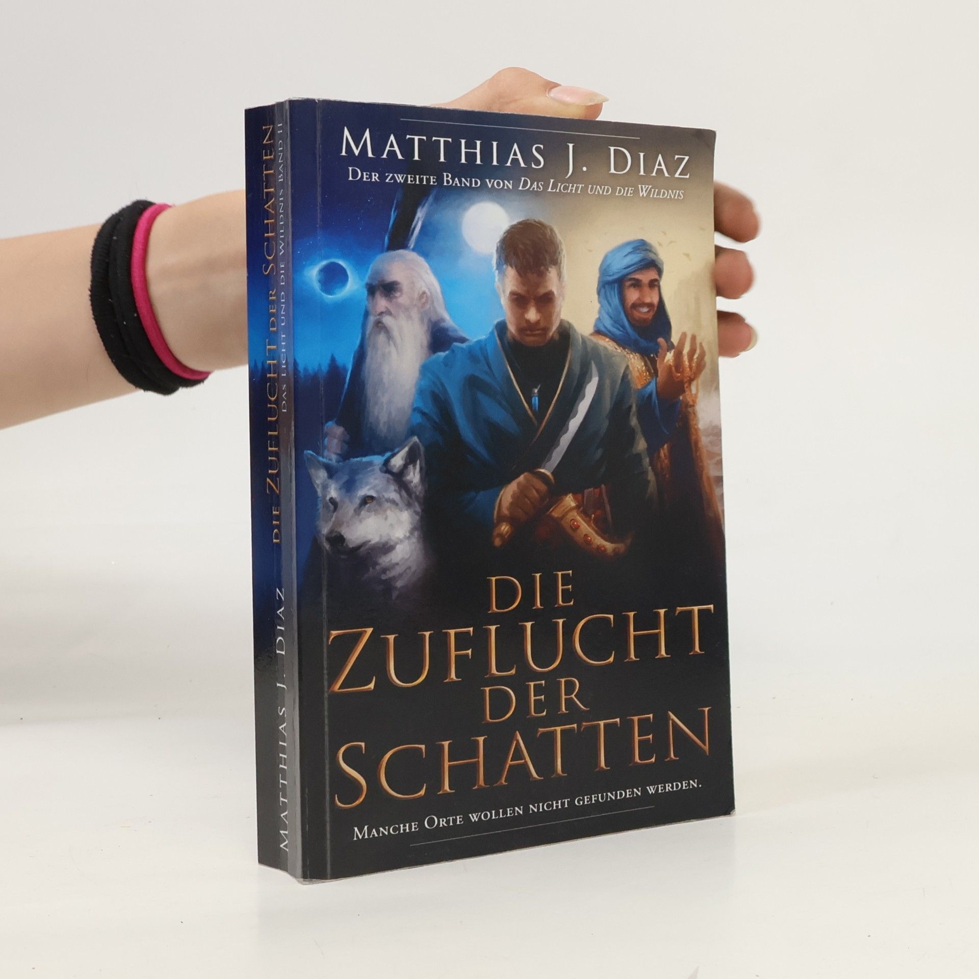 Matthias J. Diaz Das Licht und die Wildnis - 2: Die Zuflucht der Schatten