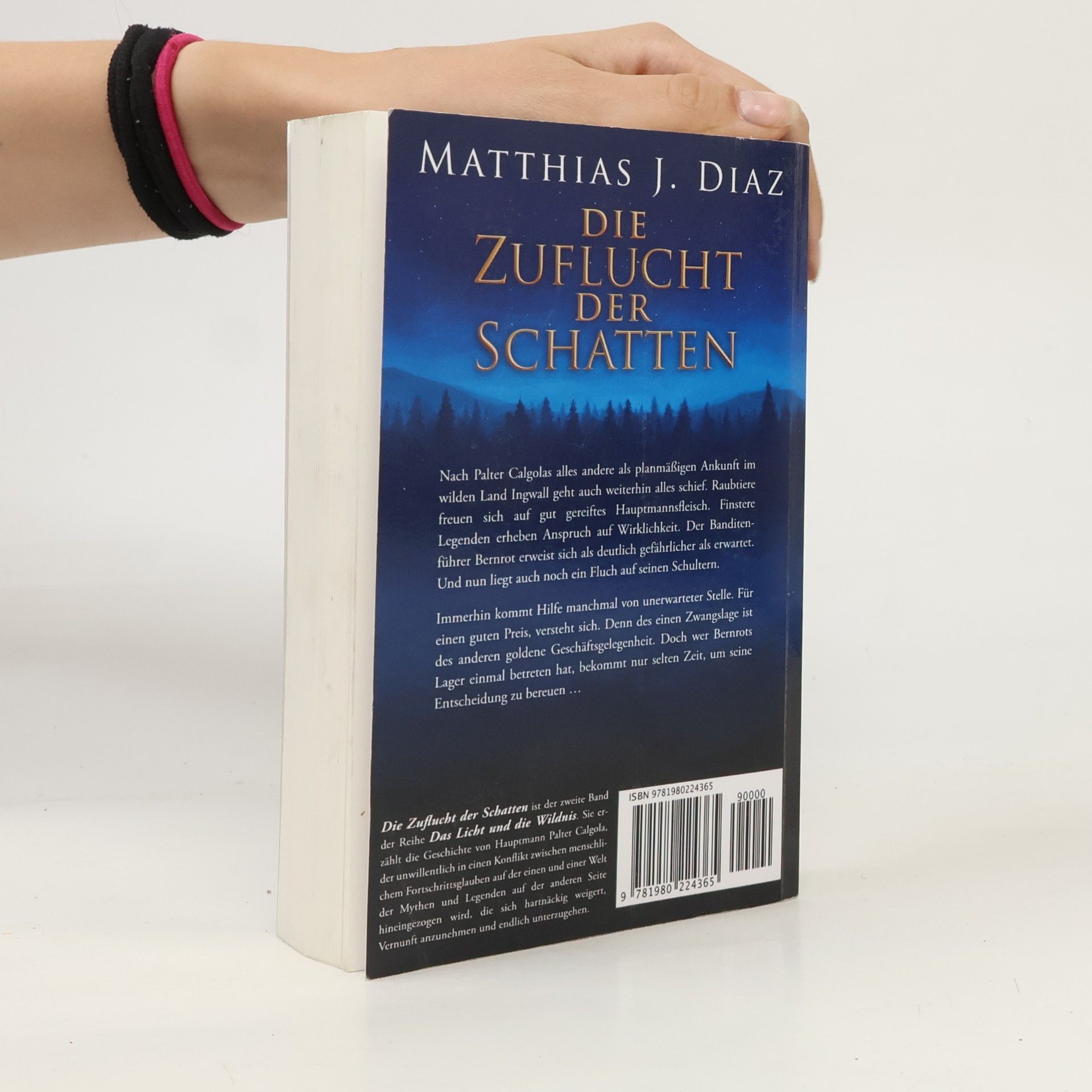 Matthias J. Diaz Das Licht und die Wildnis - 2: Die Zuflucht der Schatten