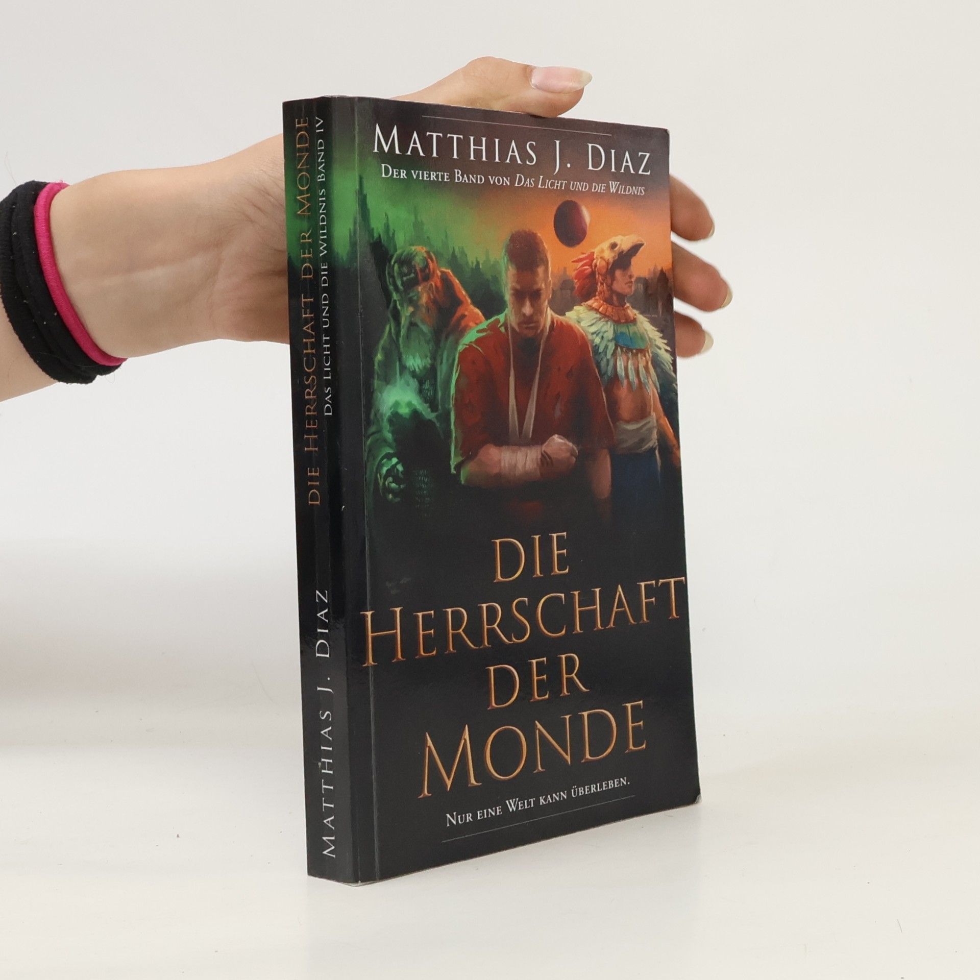 Matthias J. Diaz Das Licht und die Wildnis - 4: Die Herrschaft der Monde
