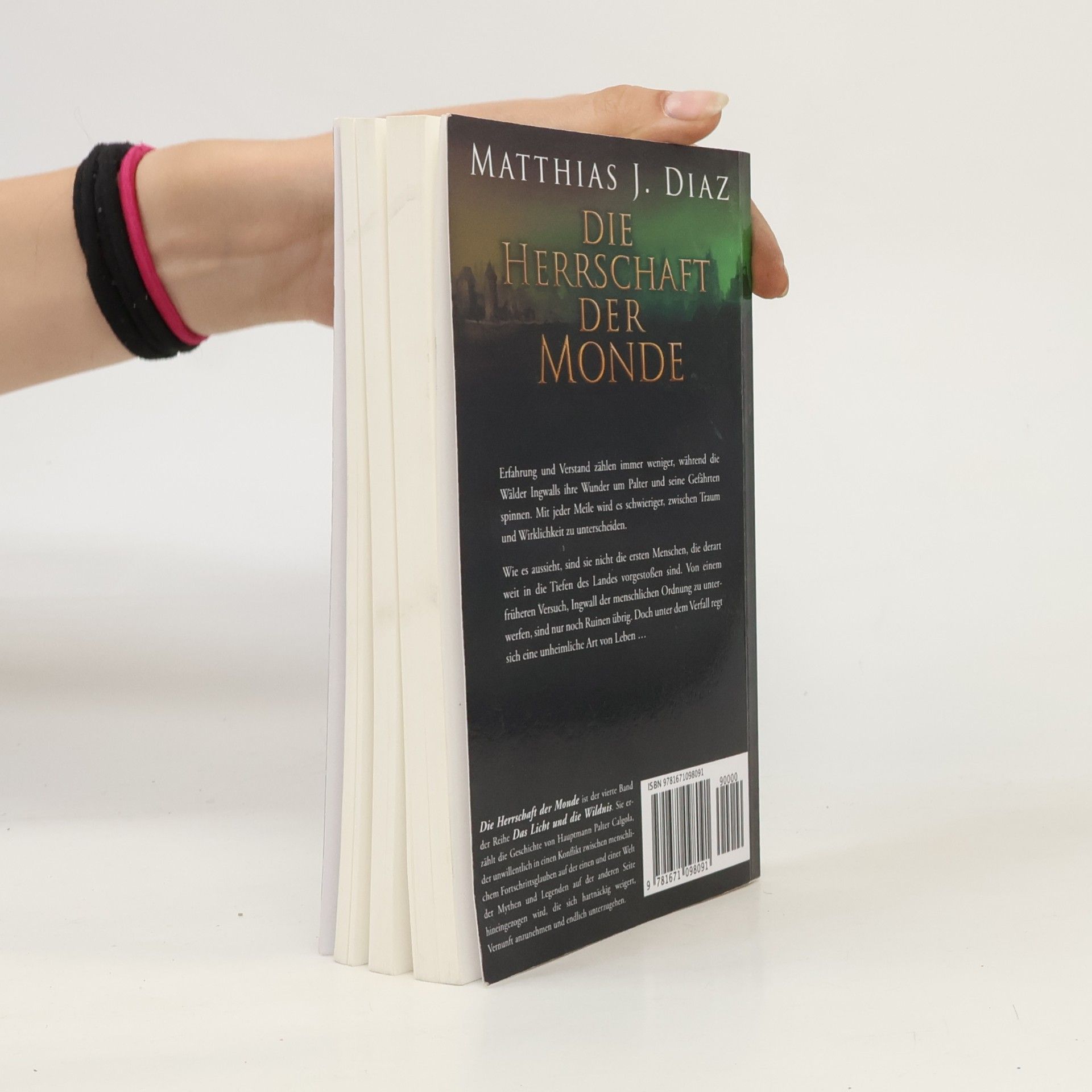 Matthias J. Diaz Das Licht und die Wildnis - 4: Die Herrschaft der Monde