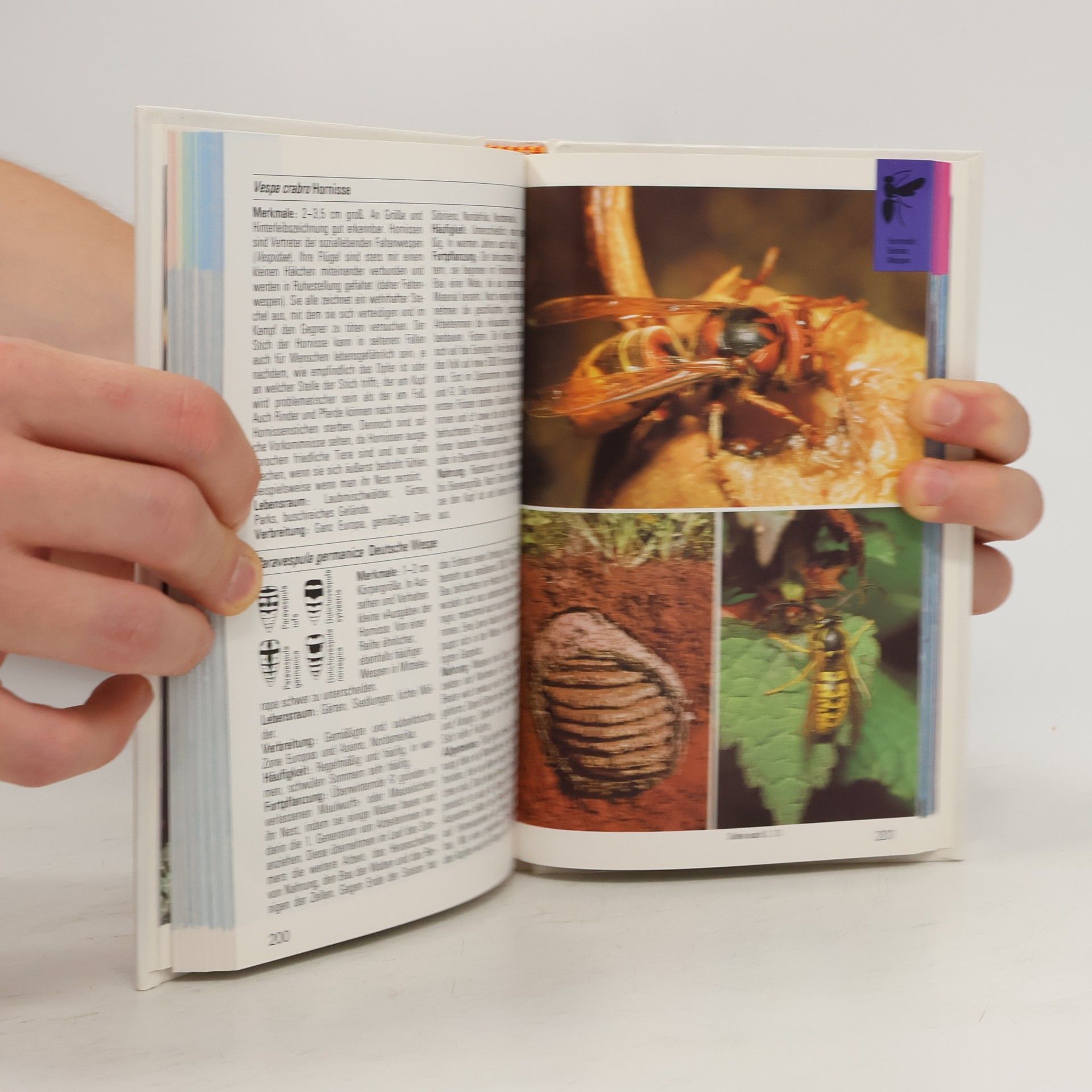 Auteurscollectief Insekten