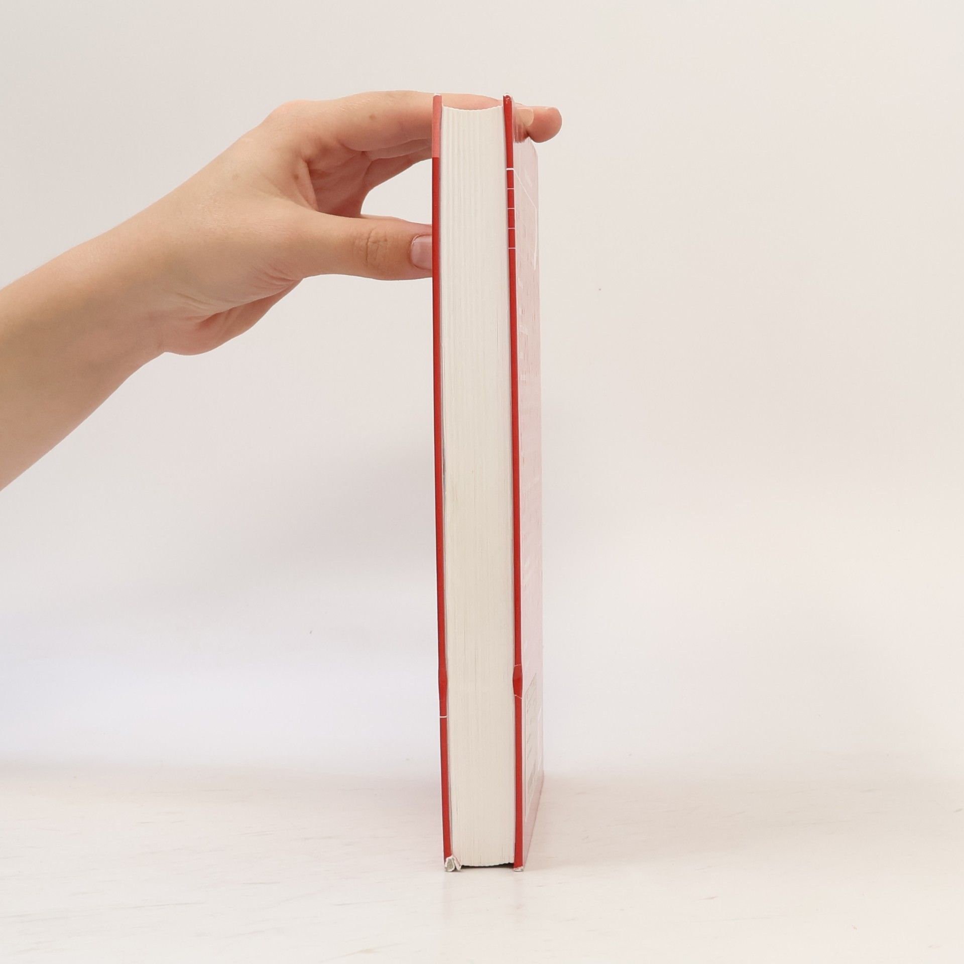 Eric Heinke Schriftsätze im Zivilprozess