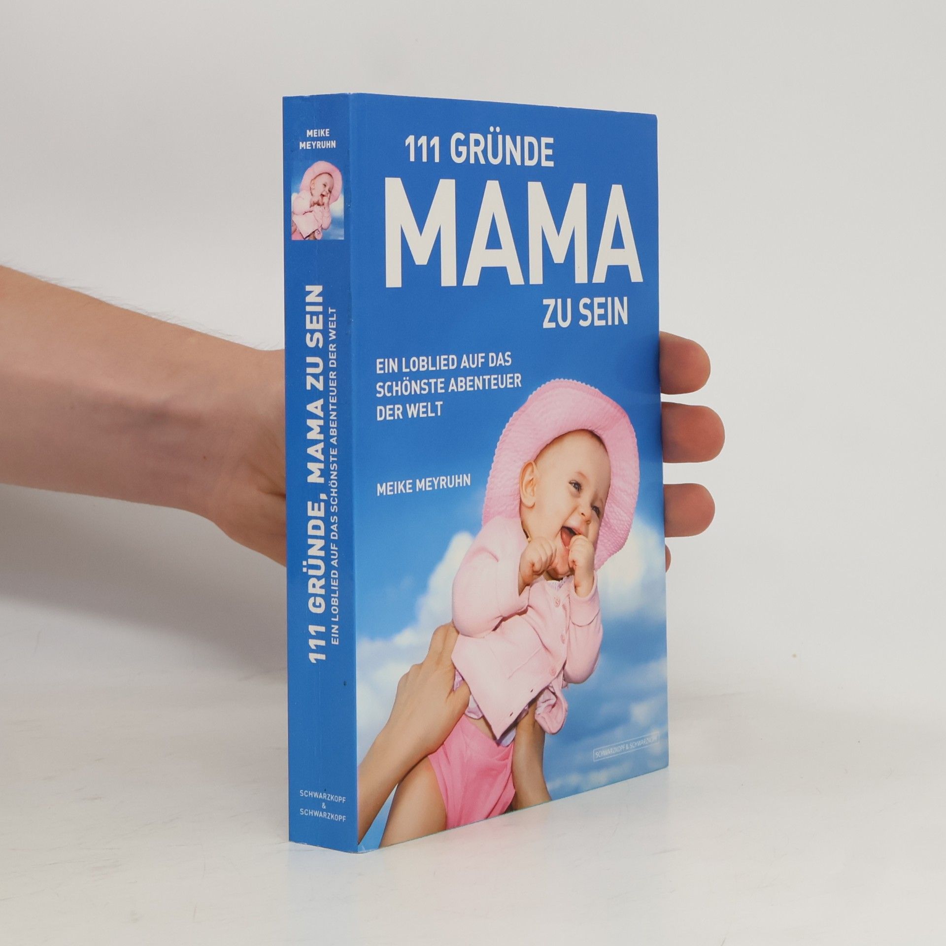 Meike Meyruhn 111 Gründe, Mama zu sein