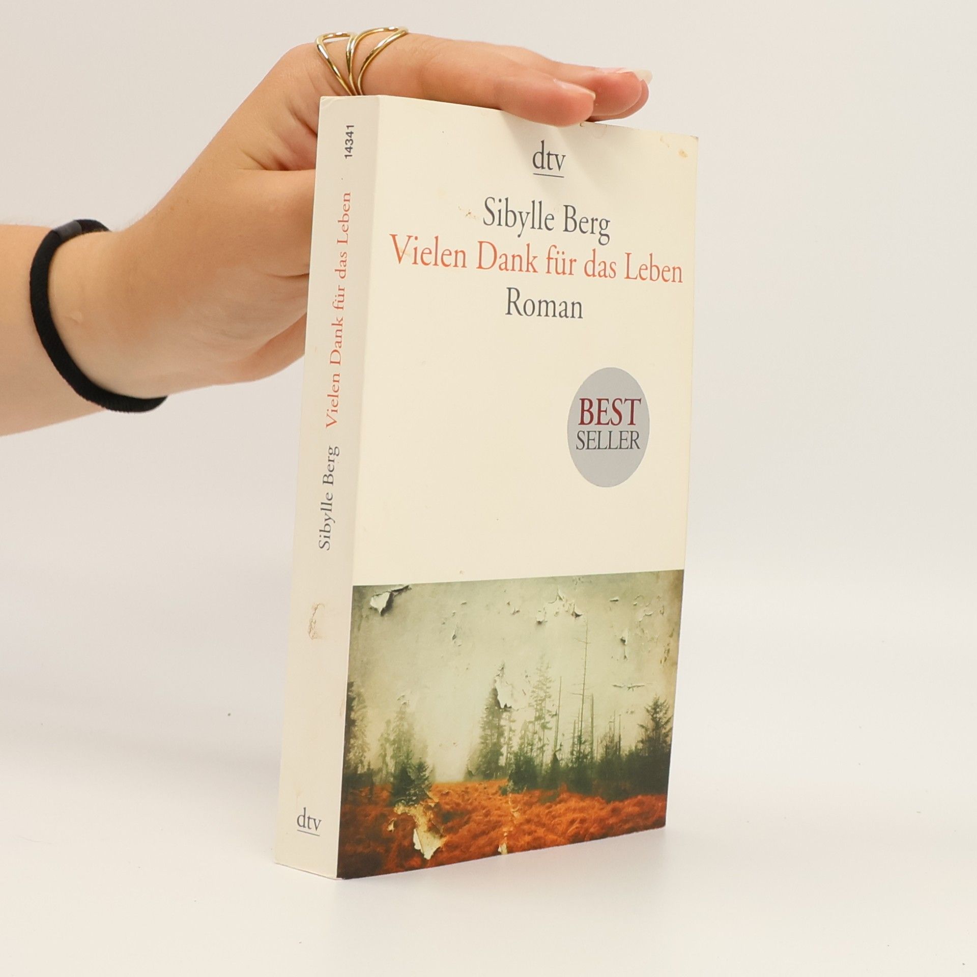 Sibylle Berg Vielen Dank für das Leben