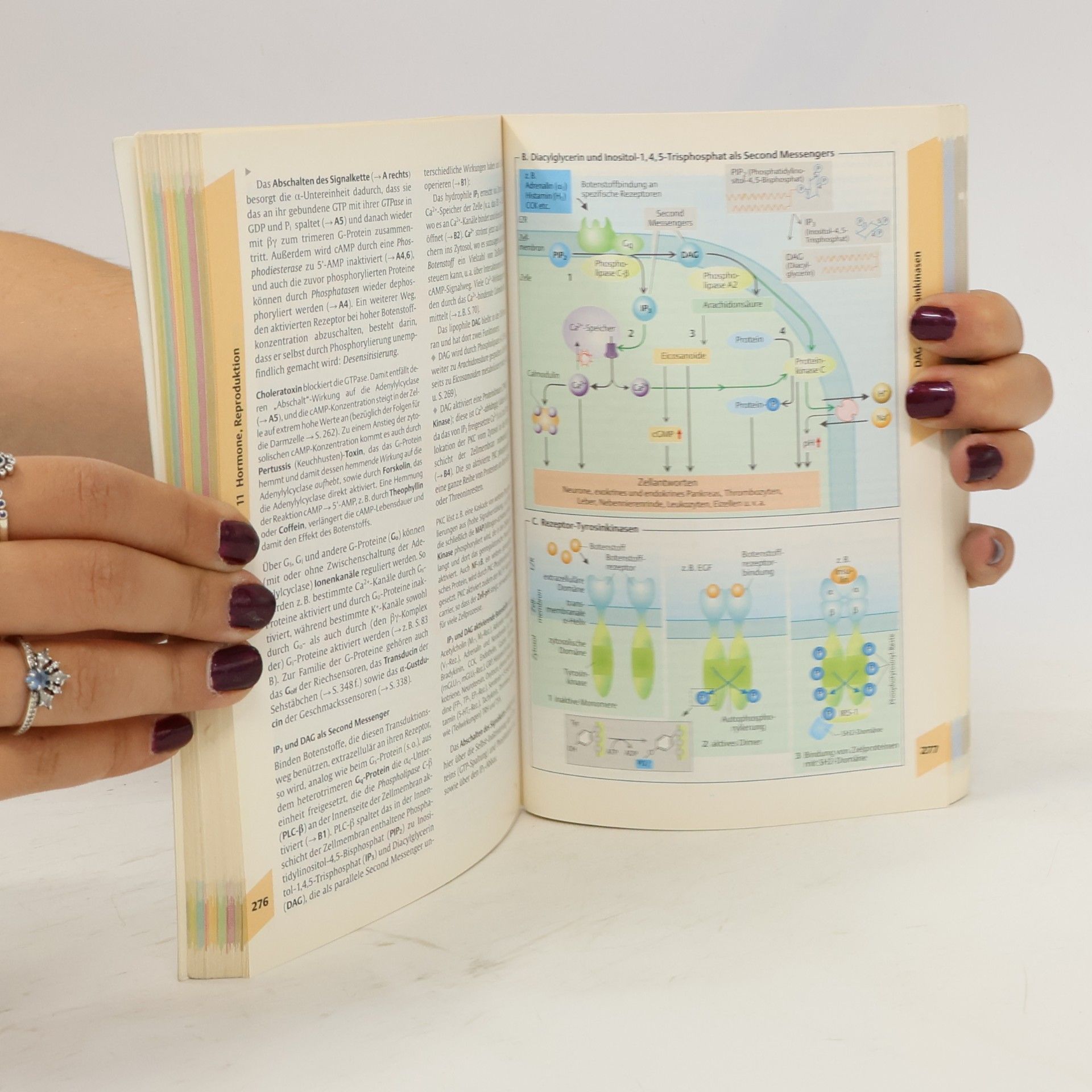 Stefan Silbernagl Taschenatlas der Physiologie