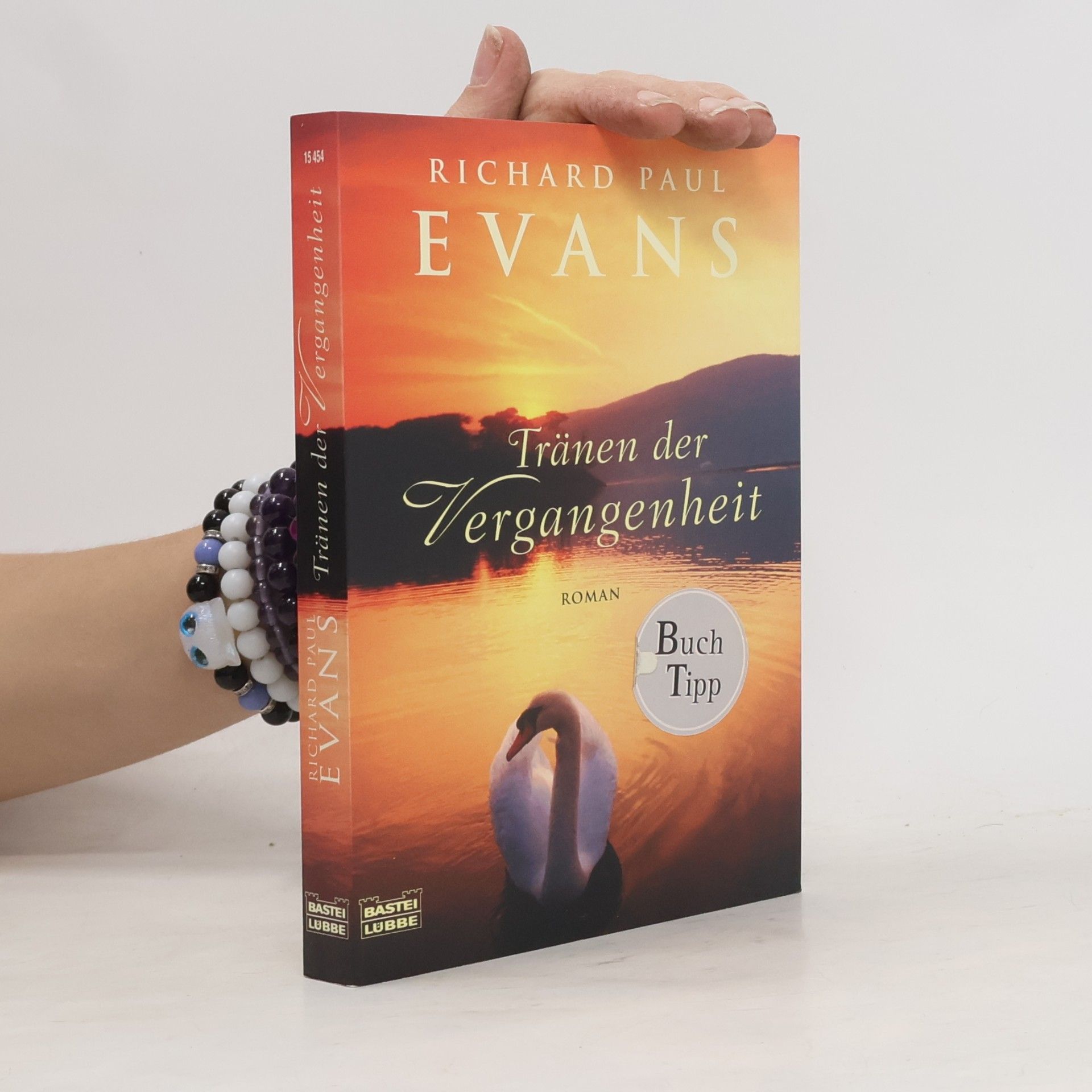 Richard Paul Evans Tränen der Vergangenheit