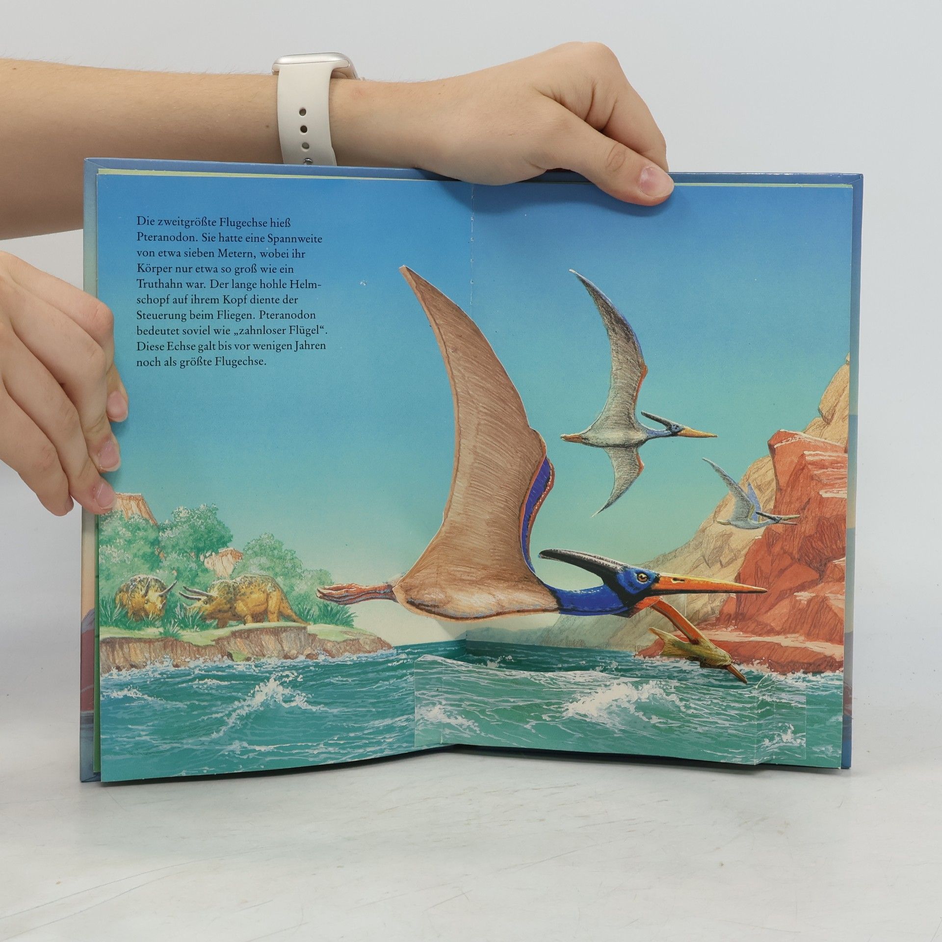 Autorenkollektiv Flugsaurier - Fliegende Reptilien - Klappbuch mit beweglichen Tieren