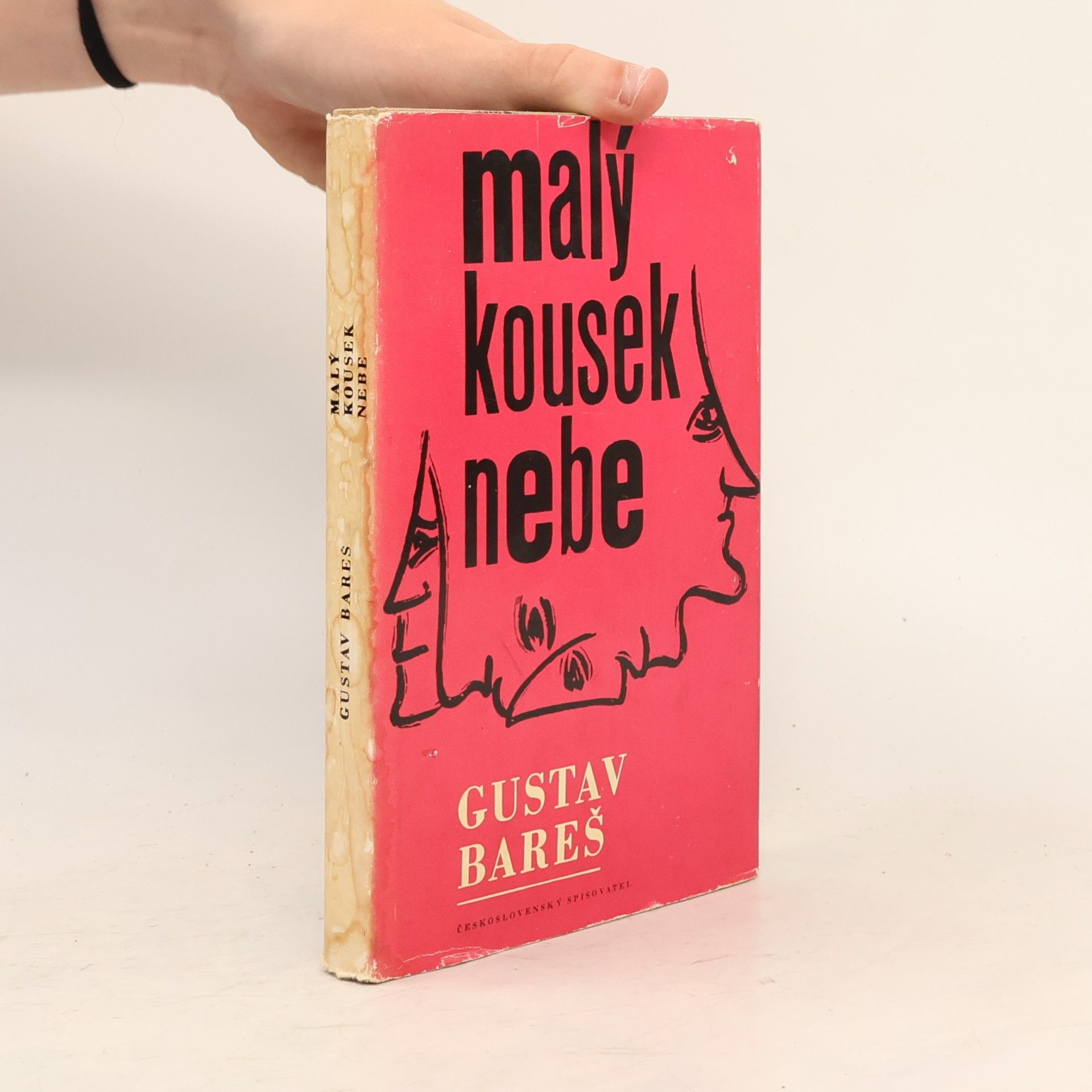 Gustav Bareš Malý kousek nebe