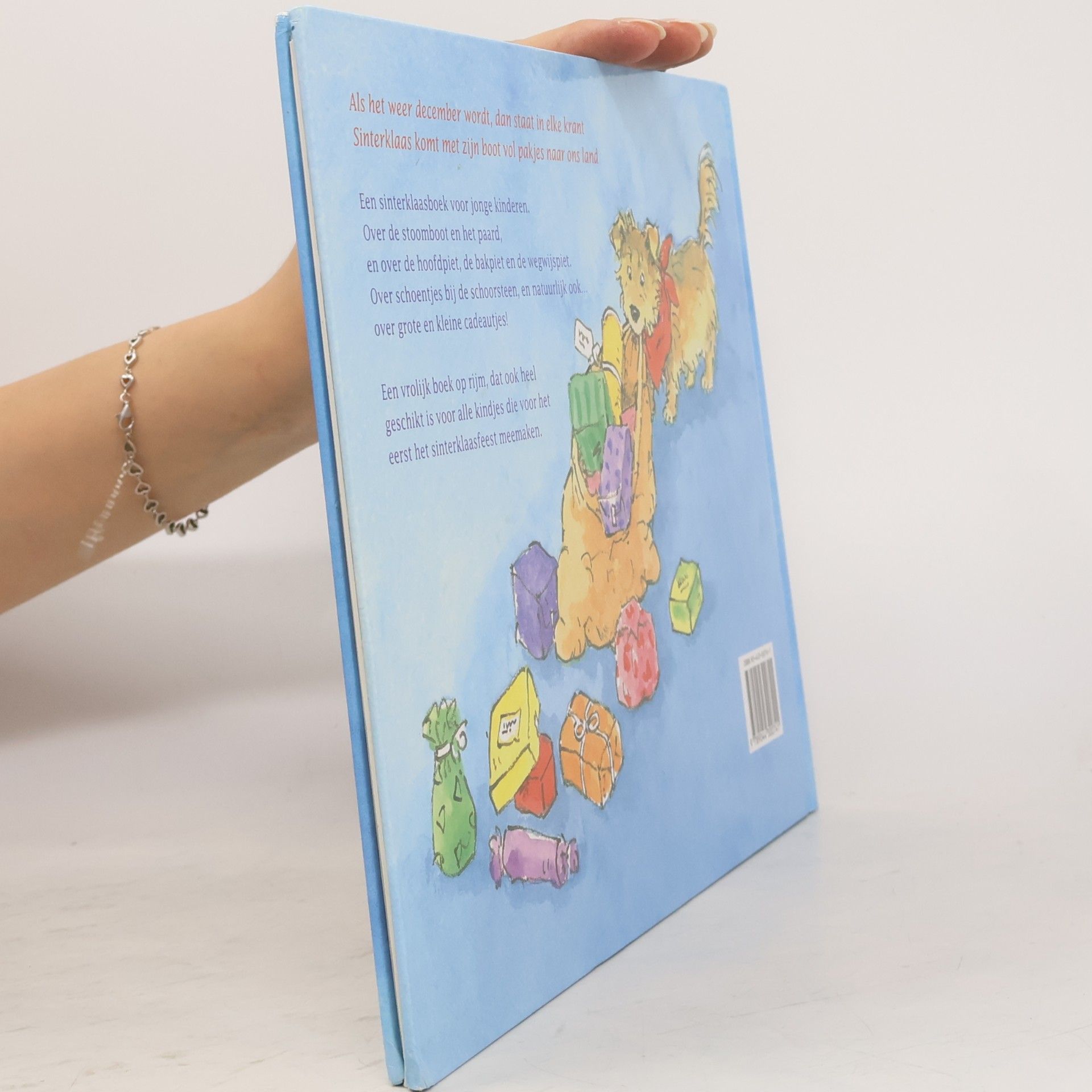 Marianne Busser Het Sinterklaasboek voor peuters en kleuters