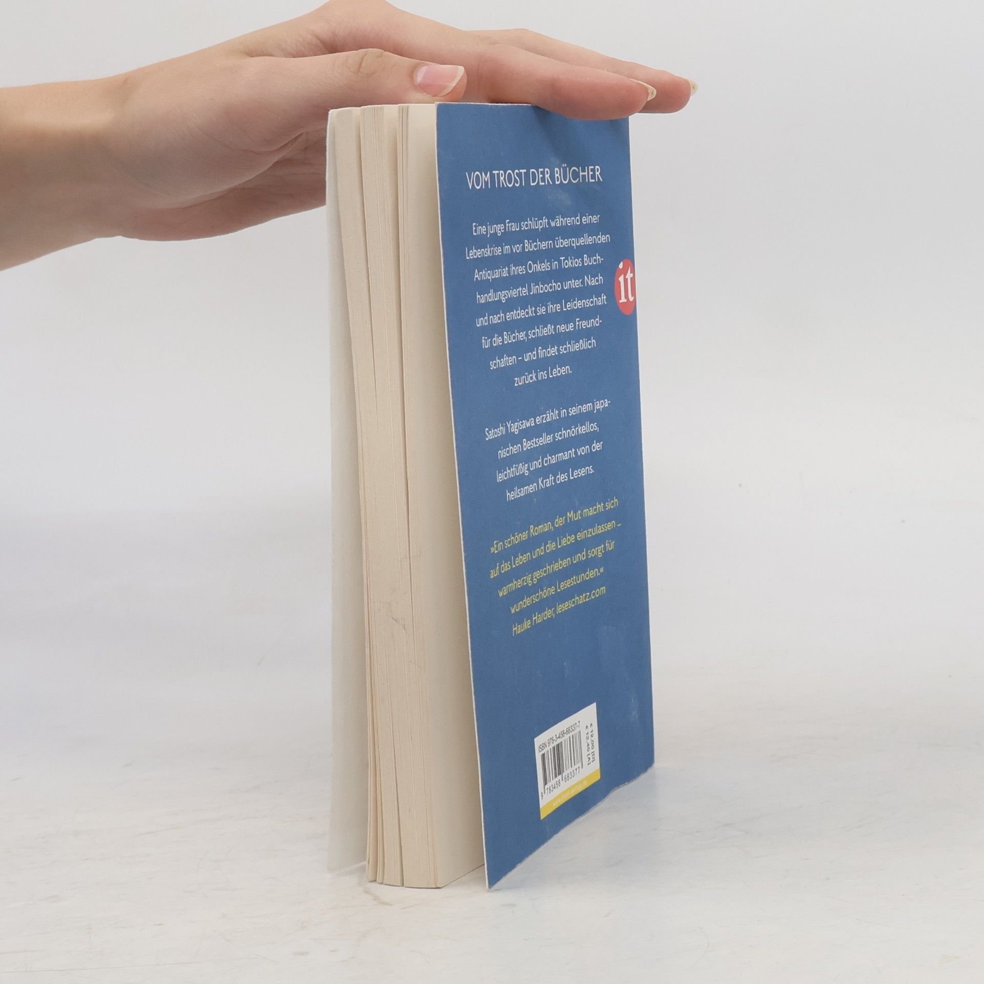 Satoshi Yagisawa Die Tage in der Buchhandlung Morisaki
