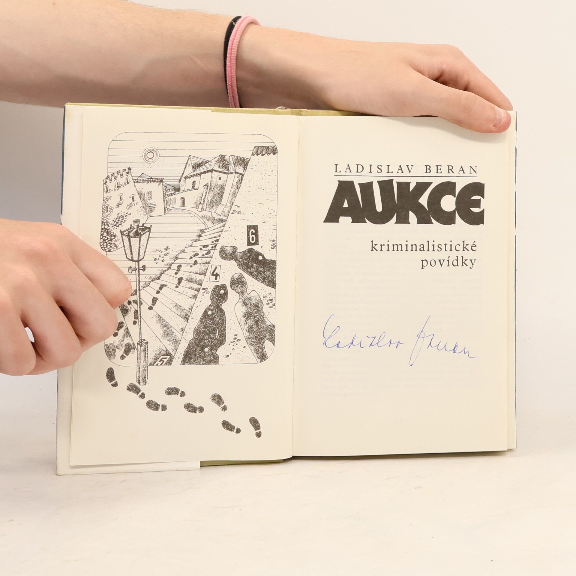 Ladislav Beran Aukce