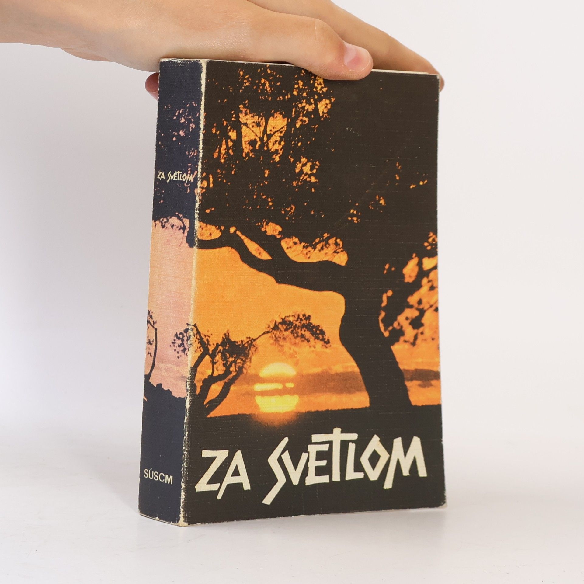 Anton Botek Za svetlom