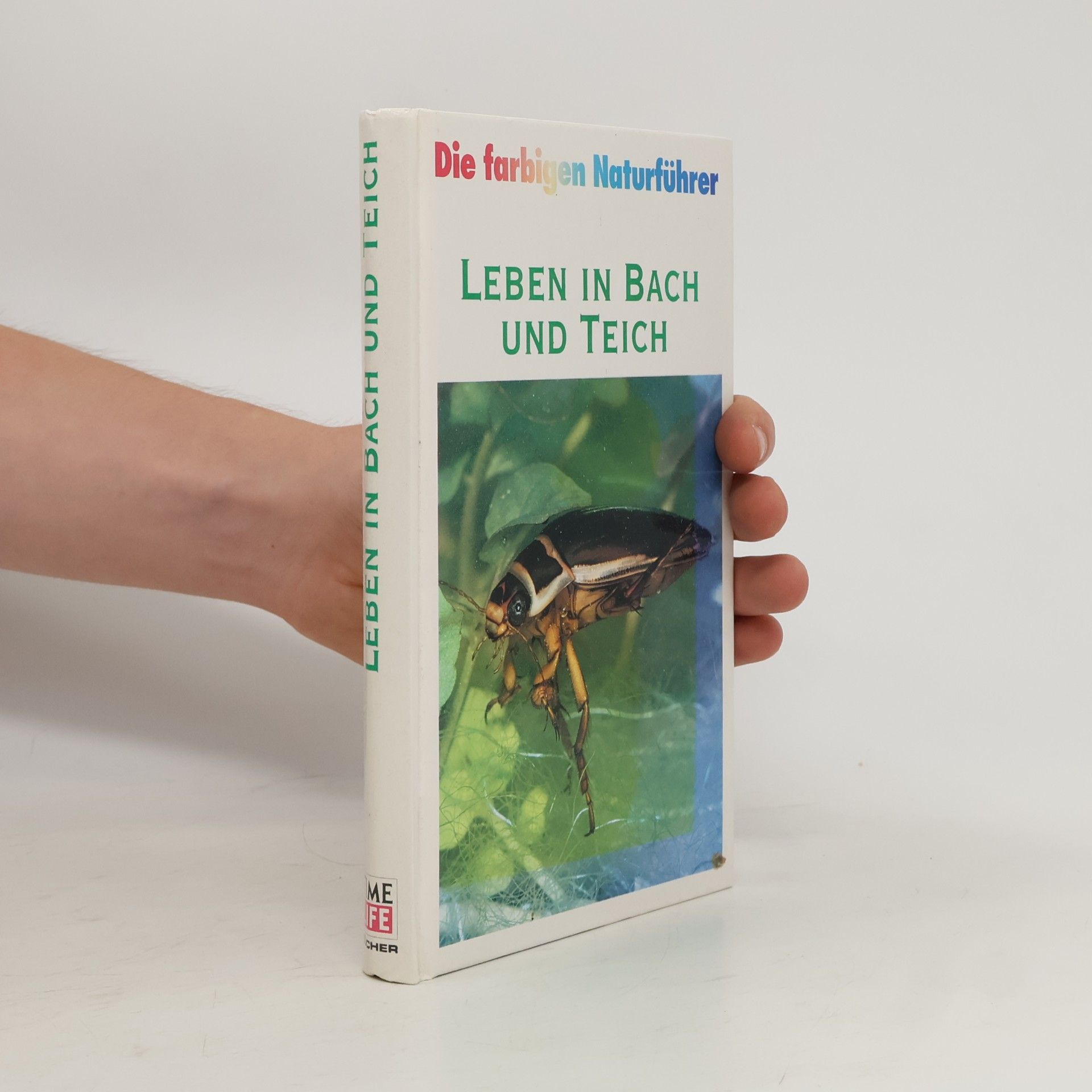 Autorenkollektiv Leben in Bach und Teich