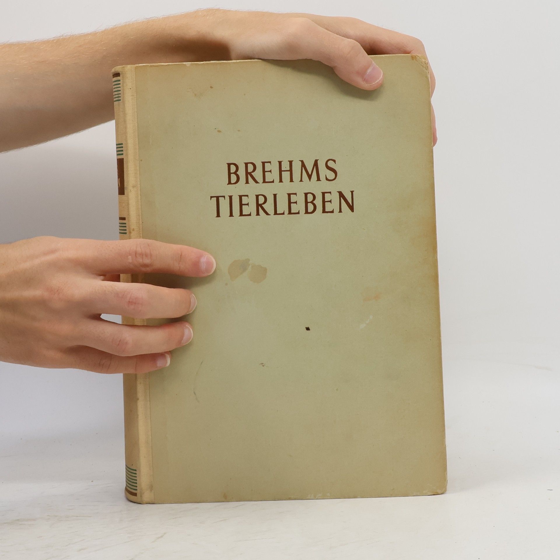 Alfred Edmund Brehm Brehms Tierleben 3. Vögel