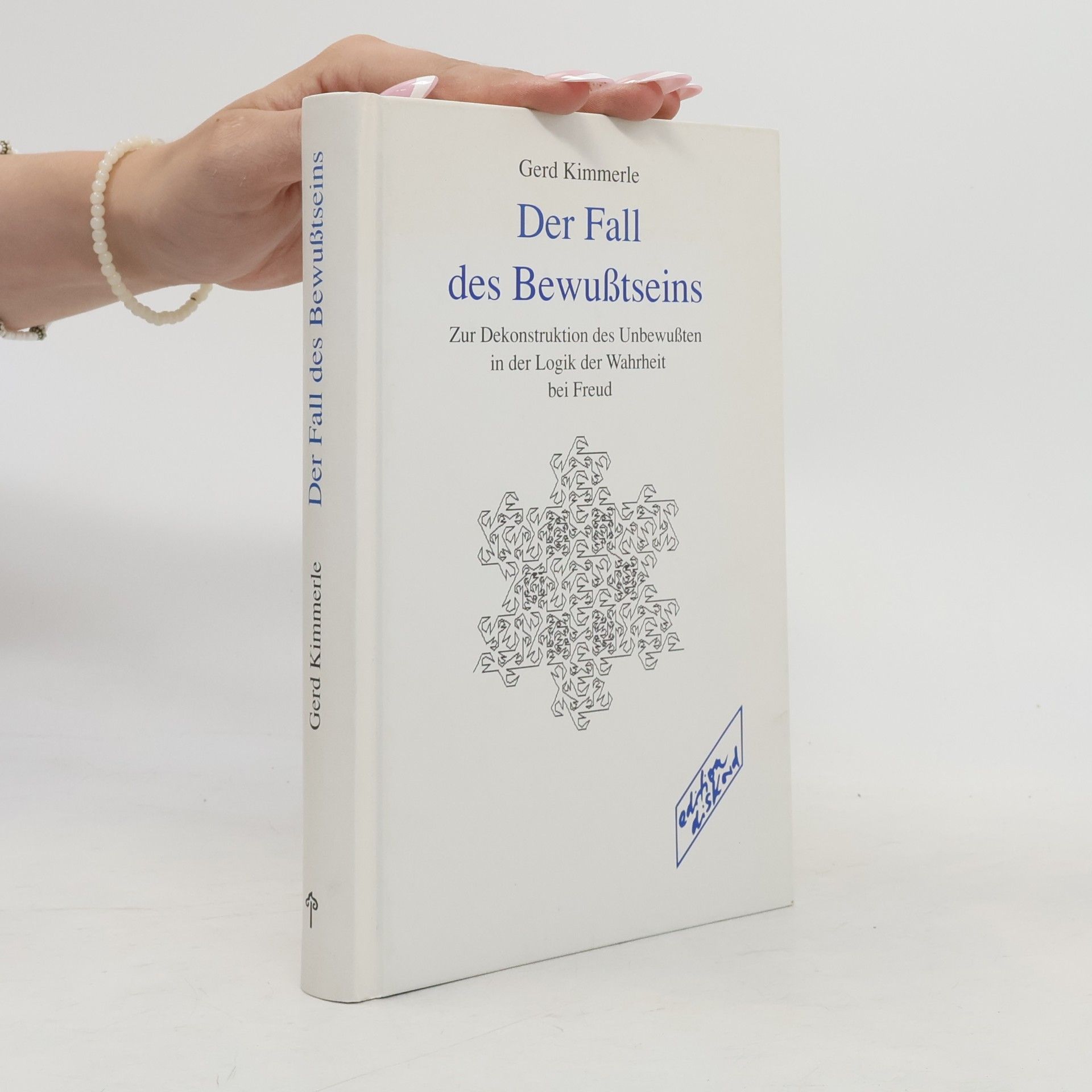 Heinz Kimmerle Der Fall des Bewußtseins