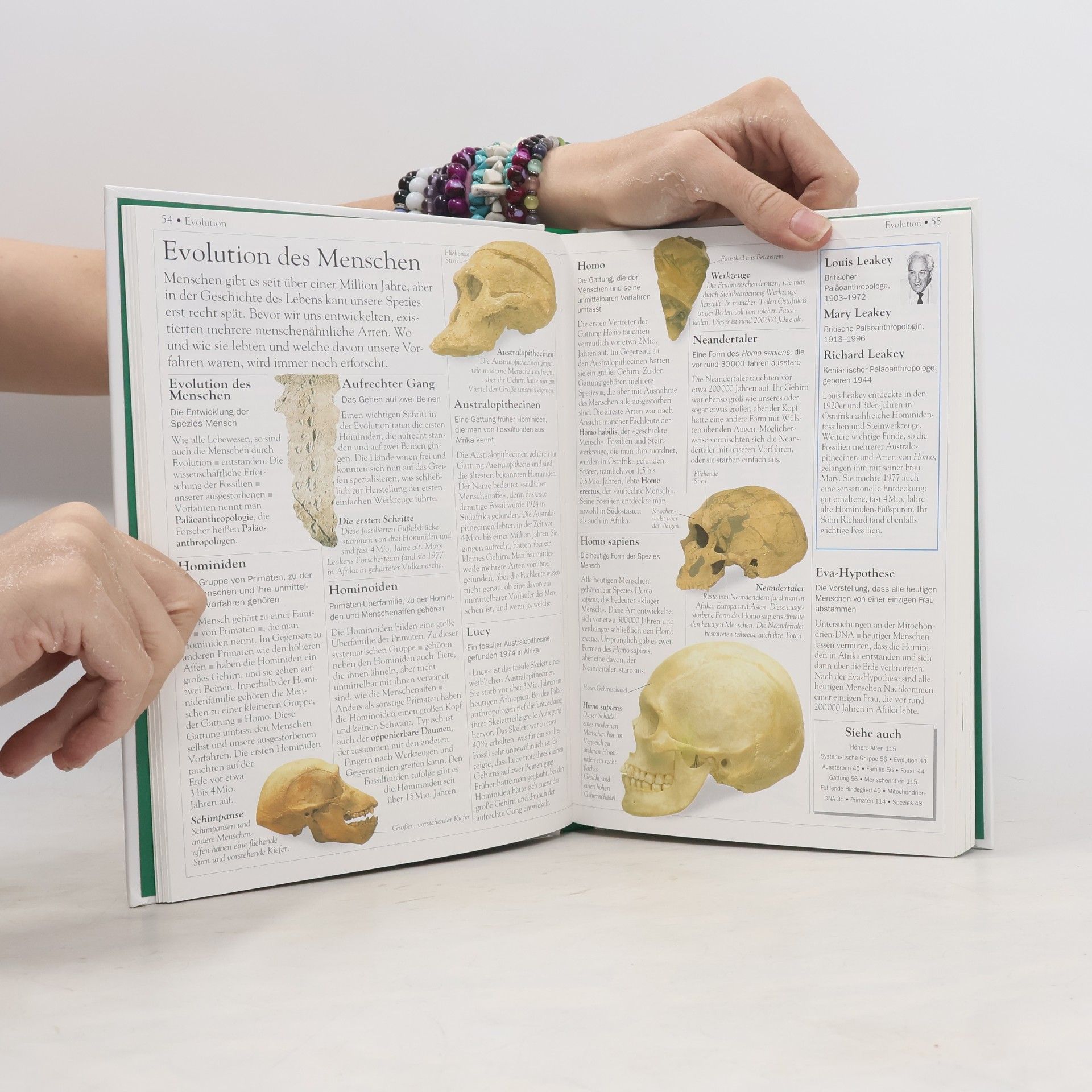 David Burnie Kompaktwissen Biologie
