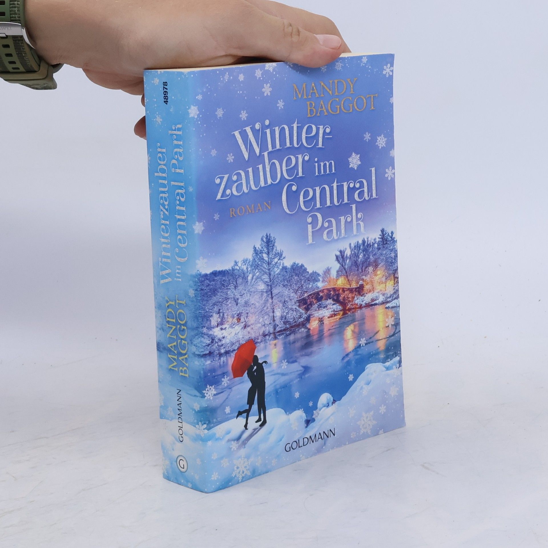Mandy Baggot Winterzauber im Central Park