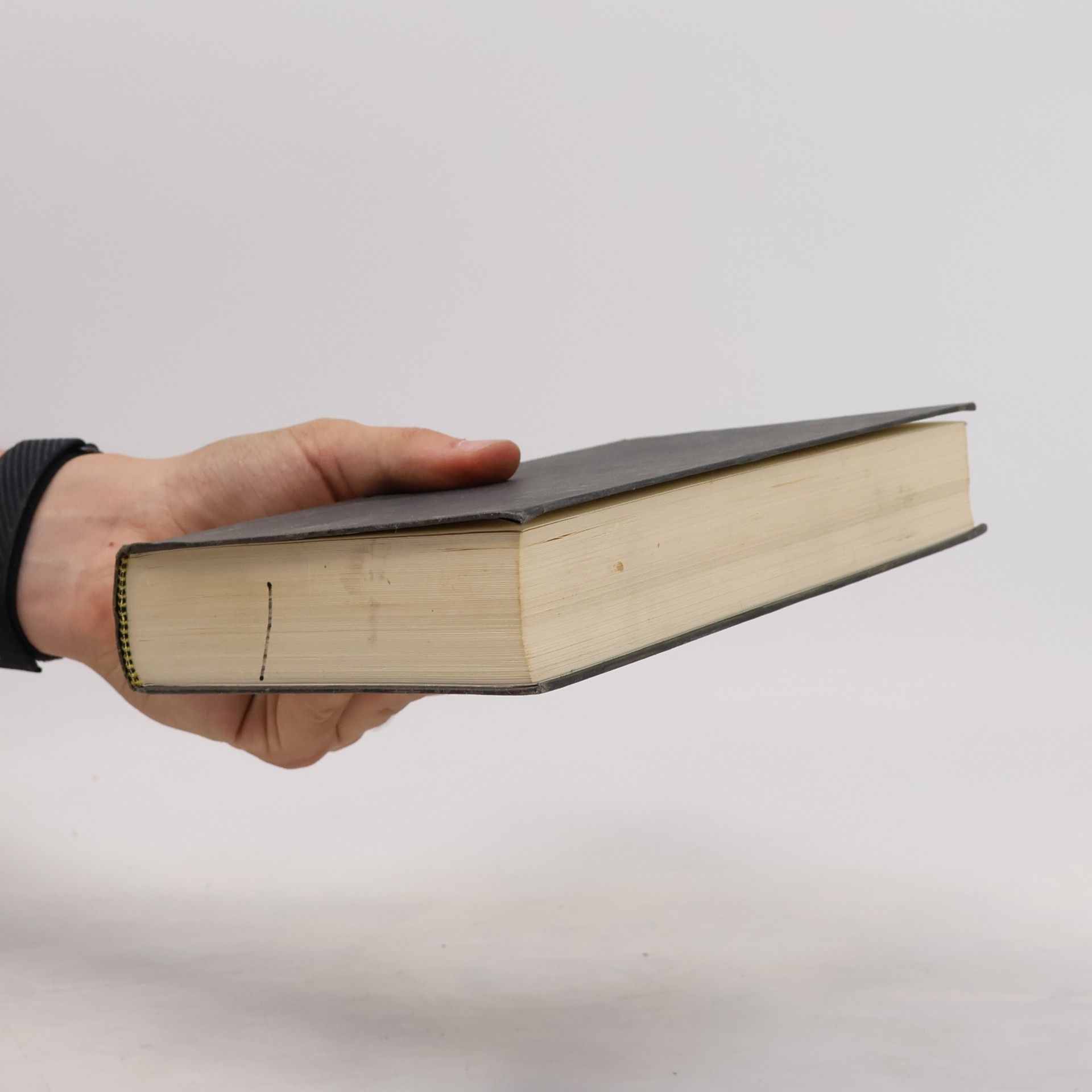 Peter Schrenk Die Konferenz von Reading