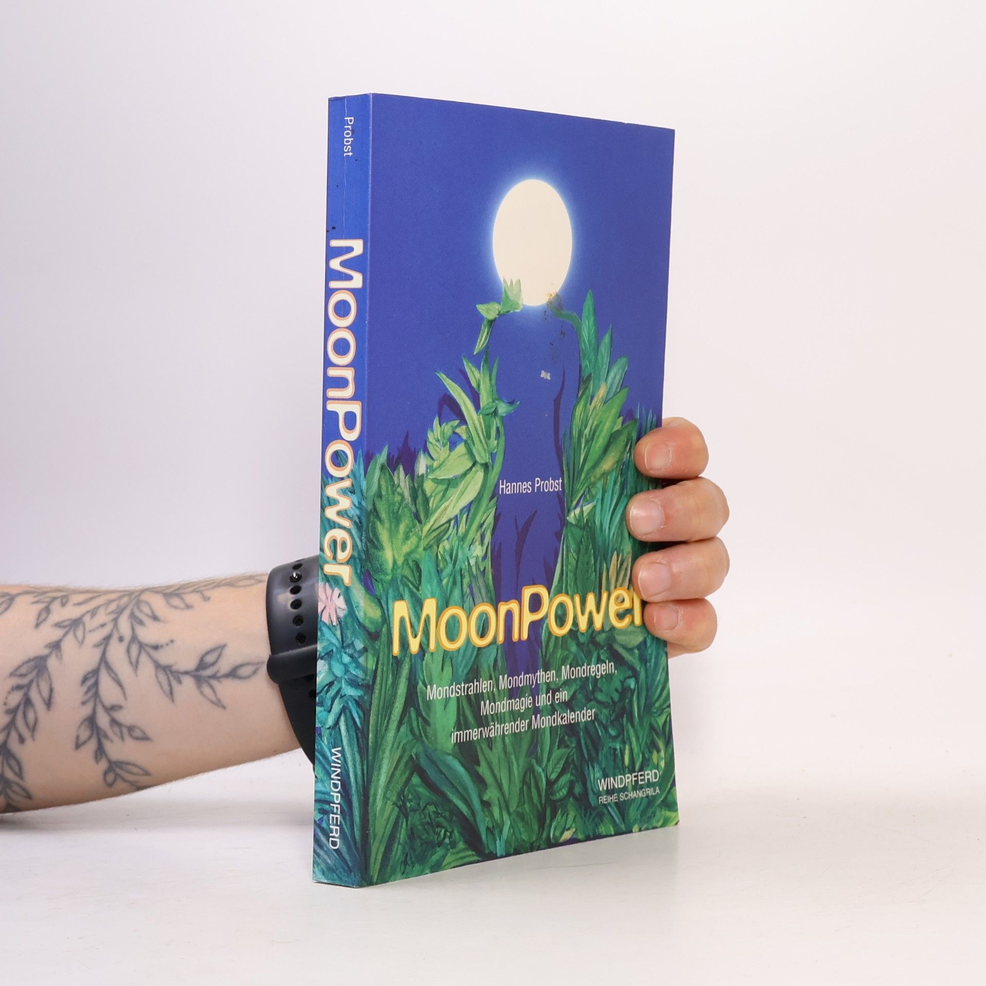 Hannes Probst MoonPower