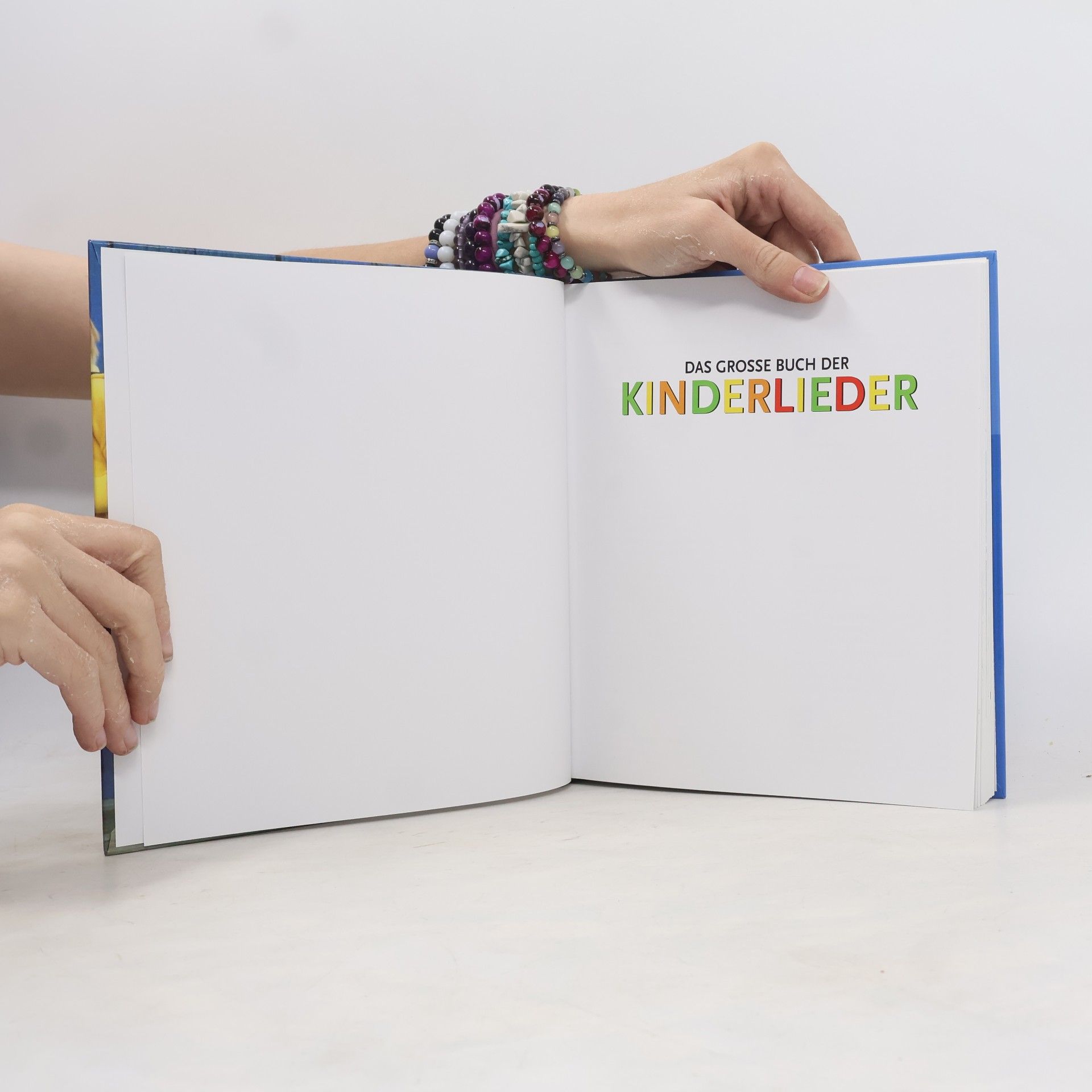Auteurscollectief Das grosse Buch der Kinderlieder