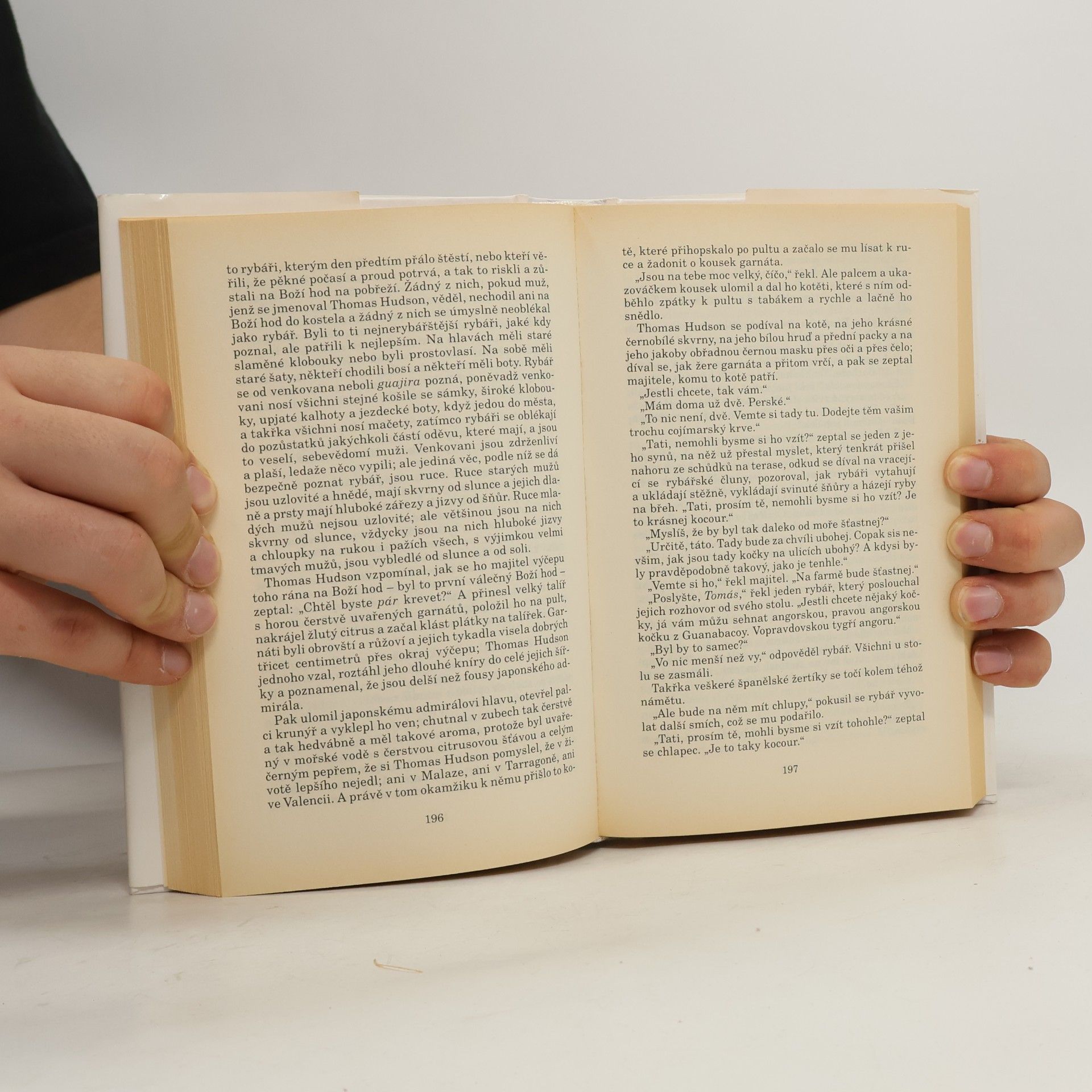 Ernest Hemingway Ostrovy uprostřed proudu