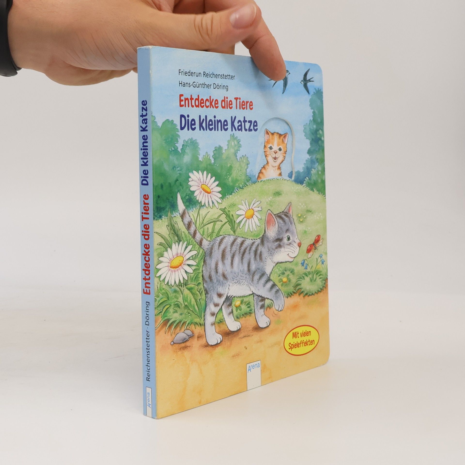 Friederun Reichenstetter Entdecke die Tiere - die kleine Katze