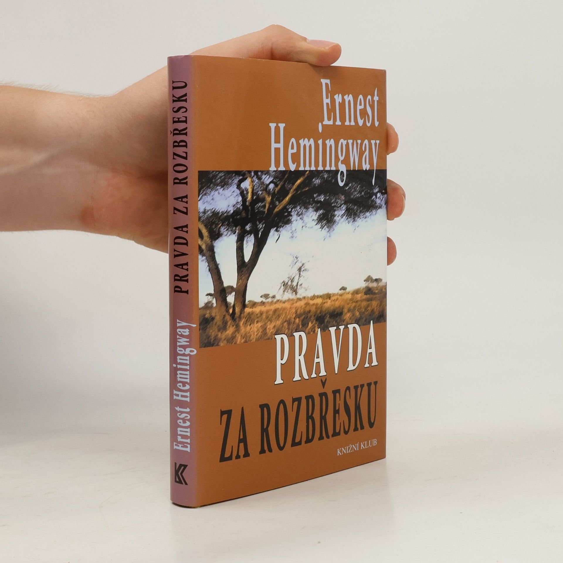 Ernest Hemingway Pravda za rozbřesku