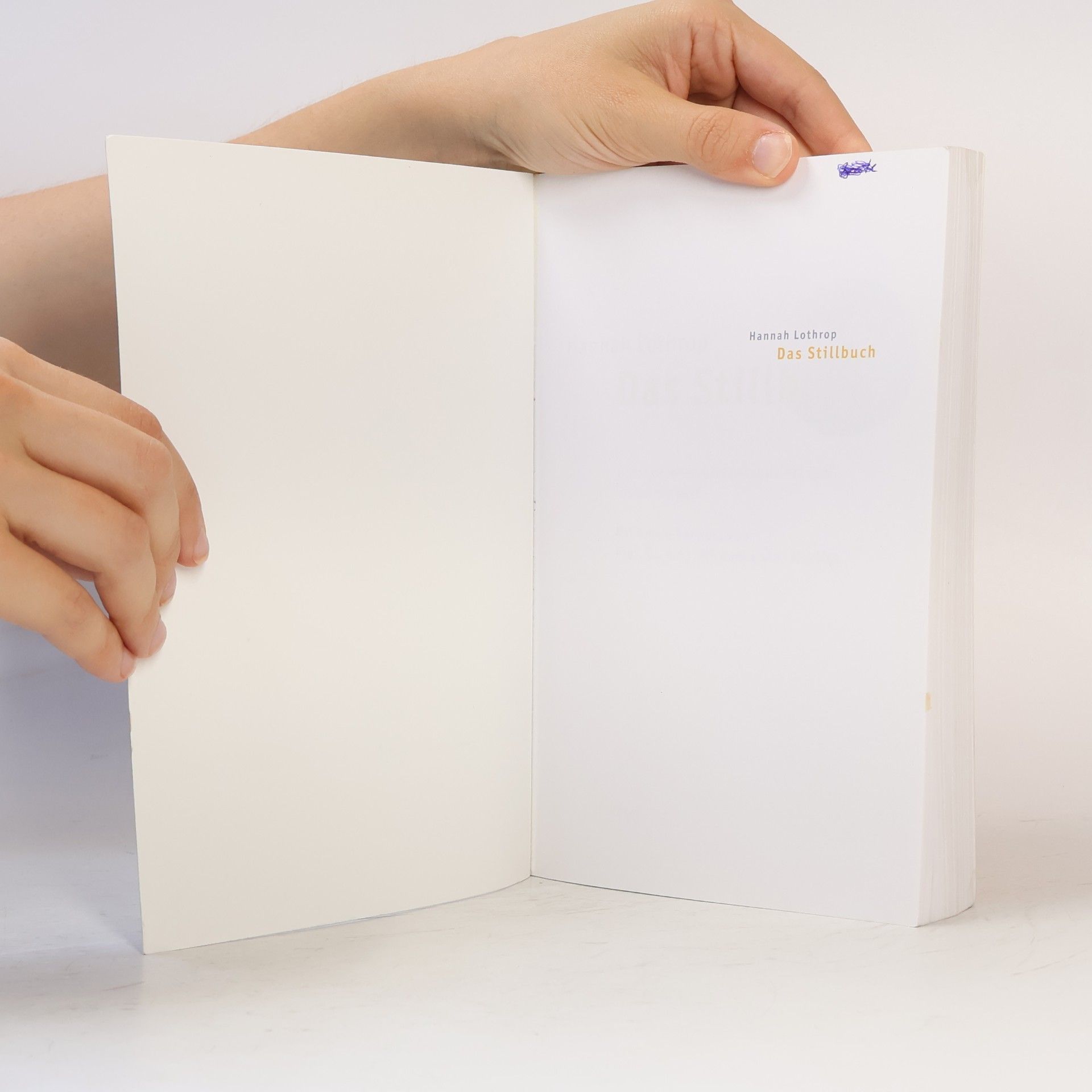Hanny Lothrop Das Stillbuch