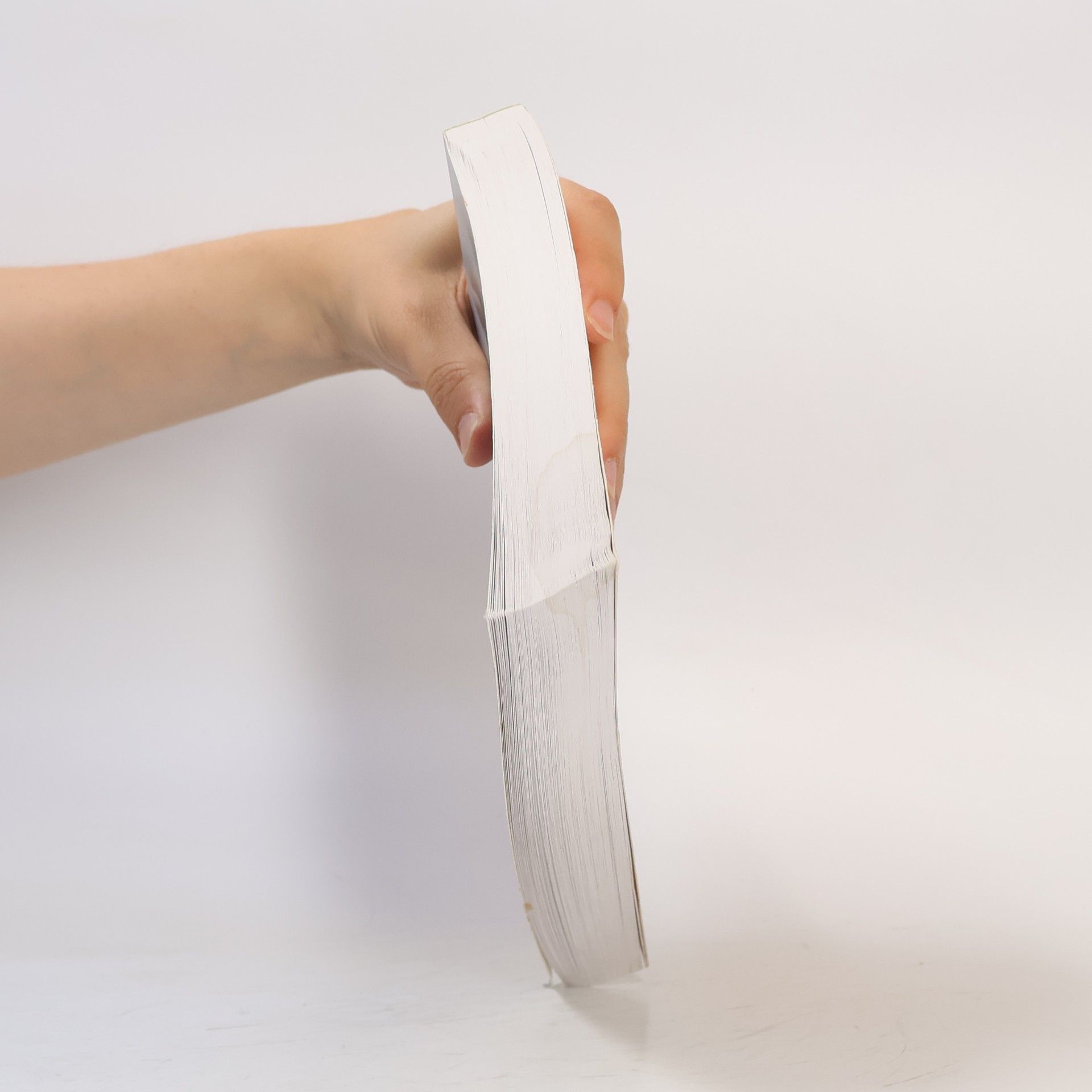 Hanny Lothrop Das Stillbuch