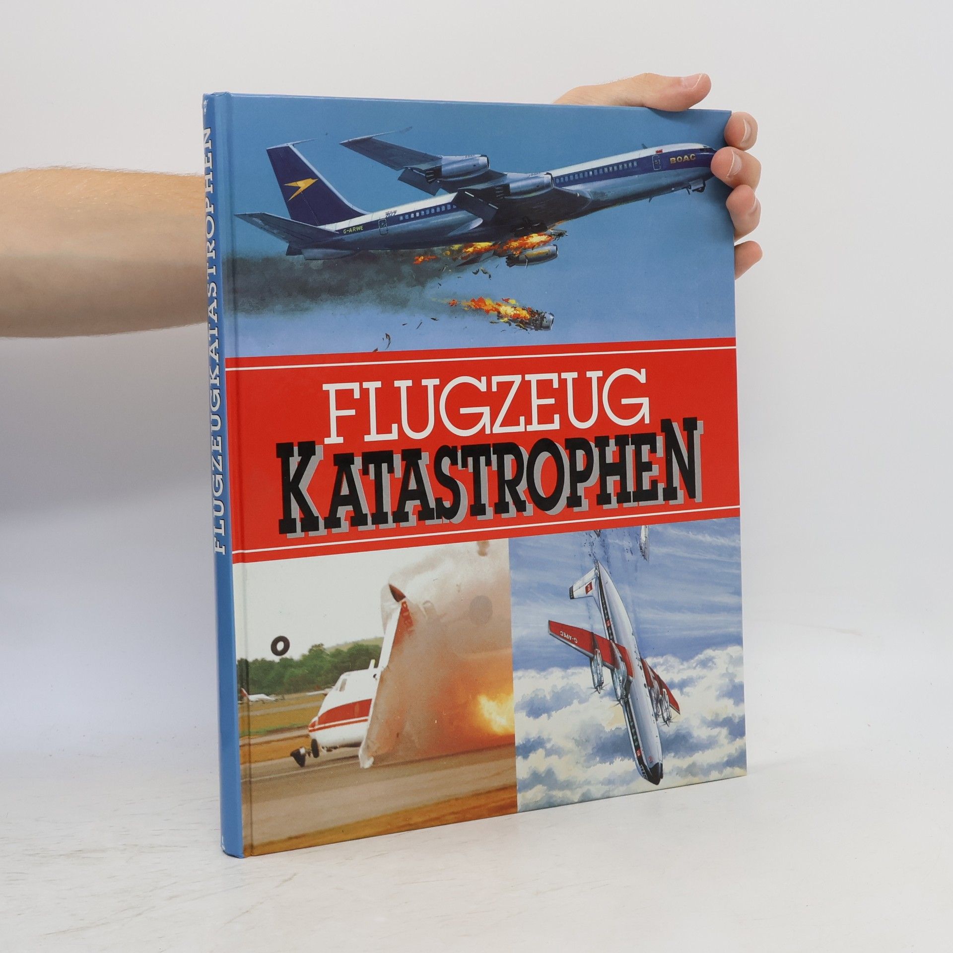 Kolektiv autorů Flugzeug Katastrophen