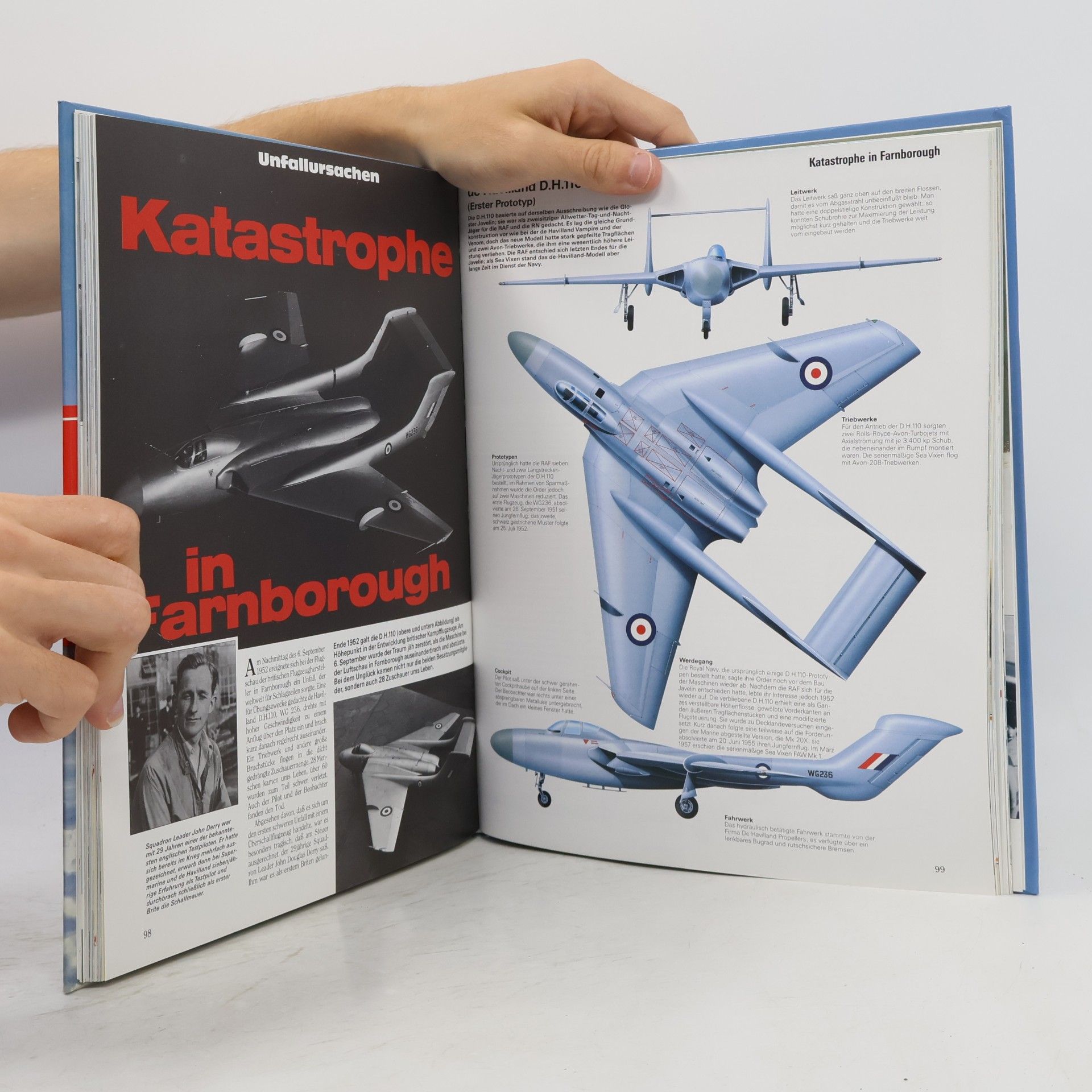 Kolektiv autorů Flugzeug Katastrophen